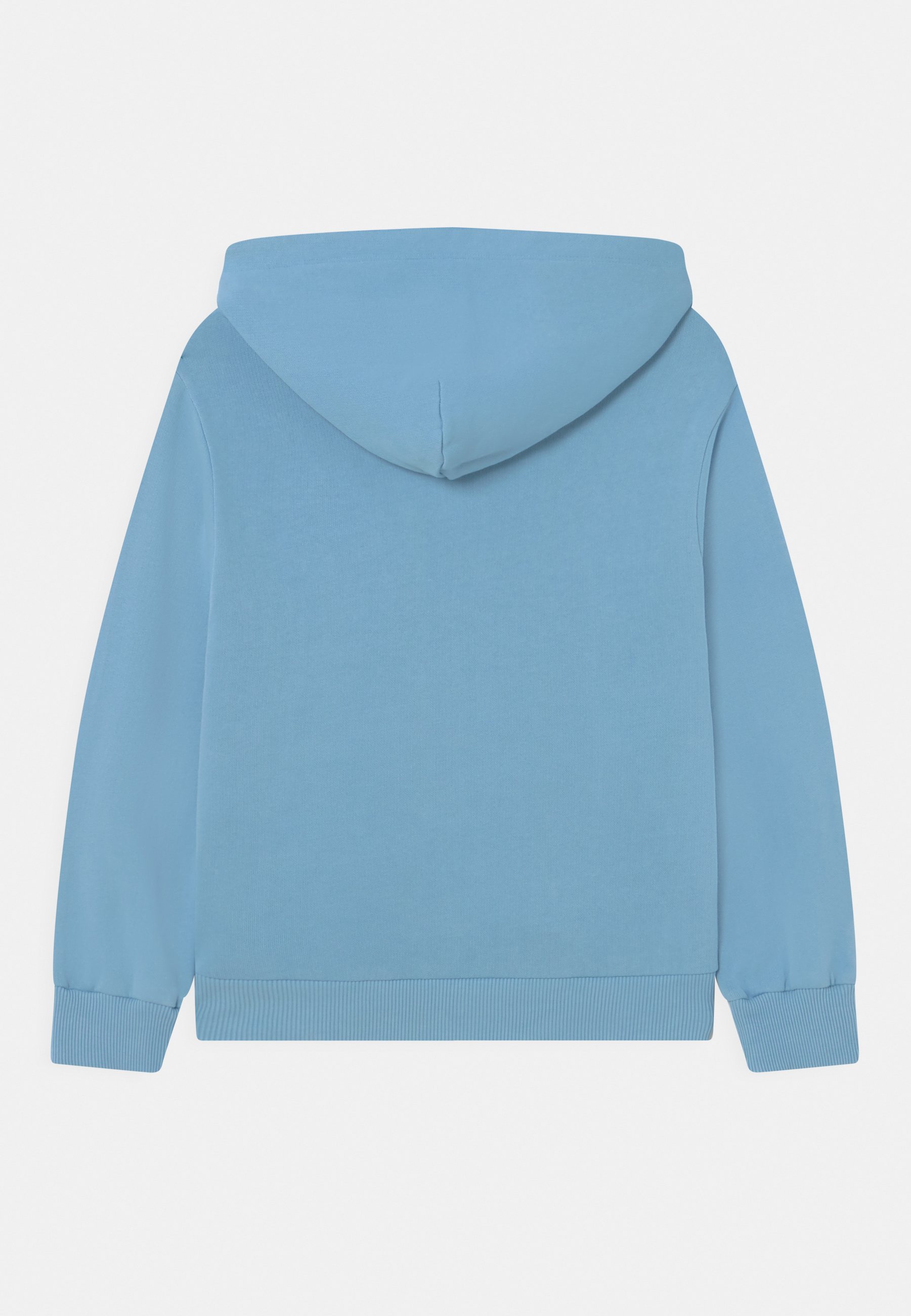 Diesel SKUBY OVER - Sweatshirt - dusk blue/light blue