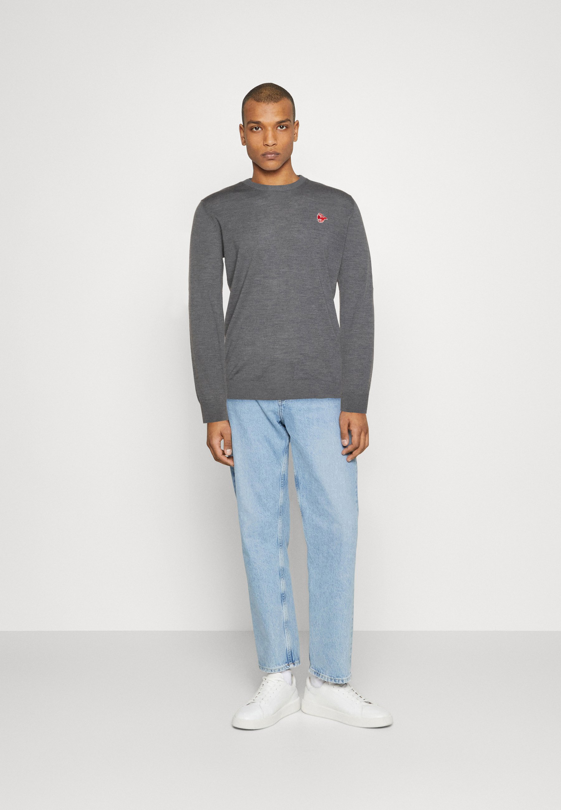 Scotch & Soda REGULAR FIT FREE SPIRIT BIRD - Jumper - grey melange/mottled grey