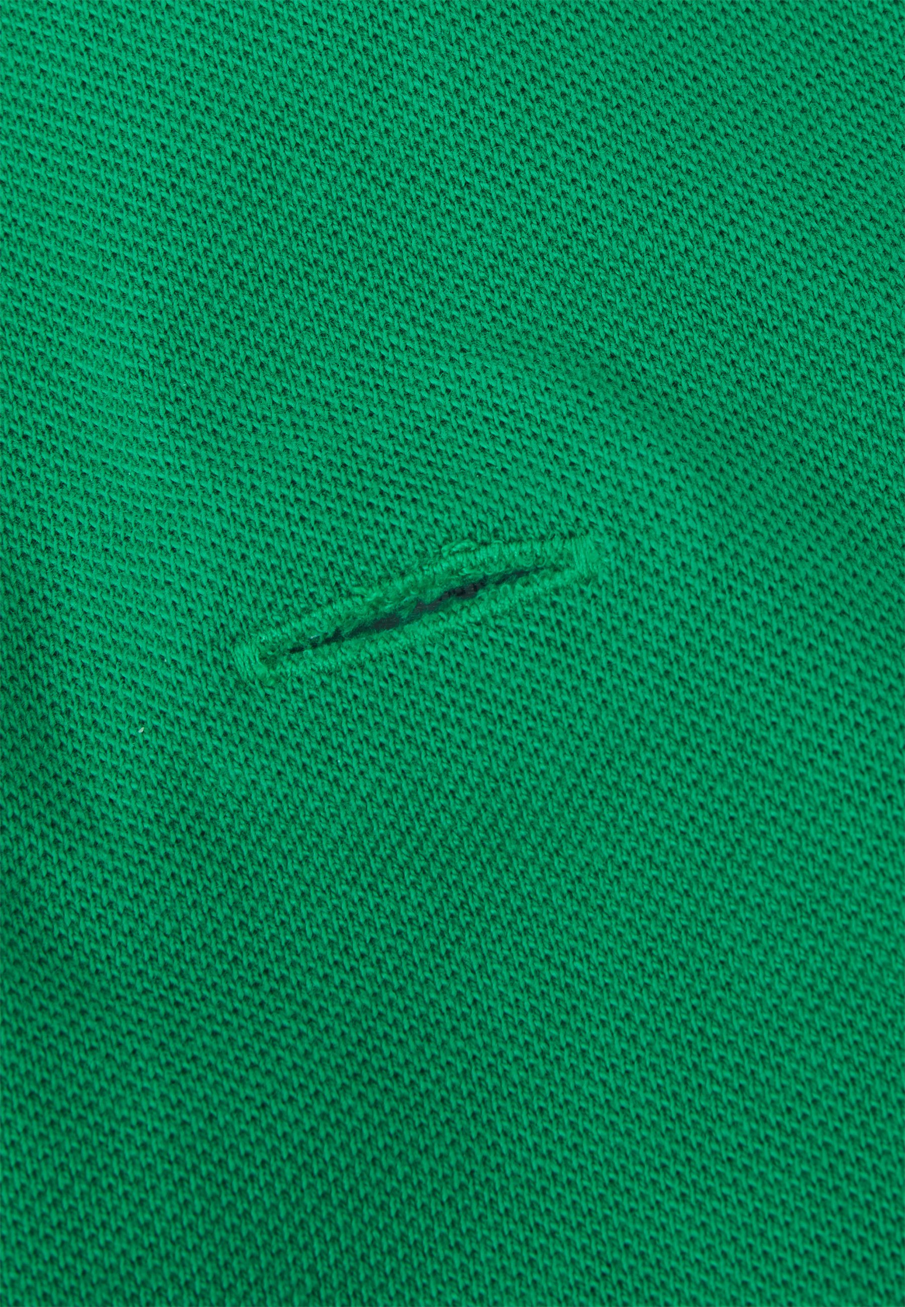 Polo Ralph Lauren DOG POLO SHIRT UNISEX - Pet accessory - billiard green/green