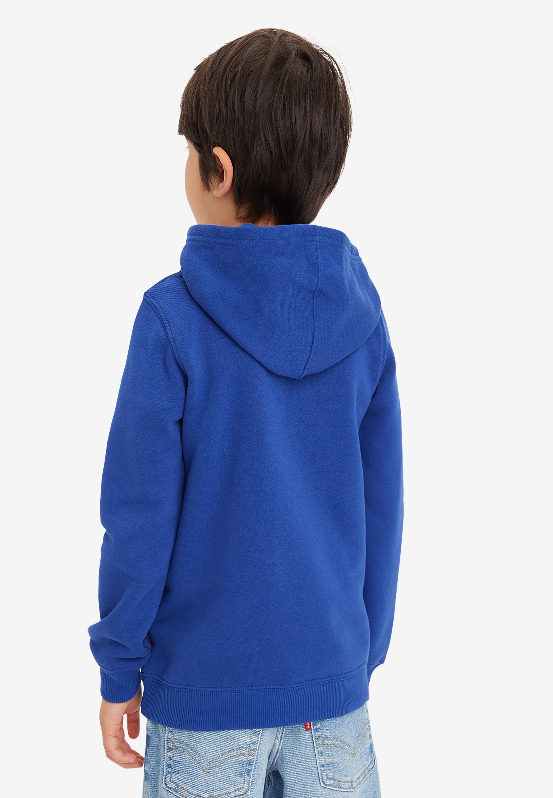 Levi's® BATWING FILL HOODIE - Hoodie - sodalite blue/blue