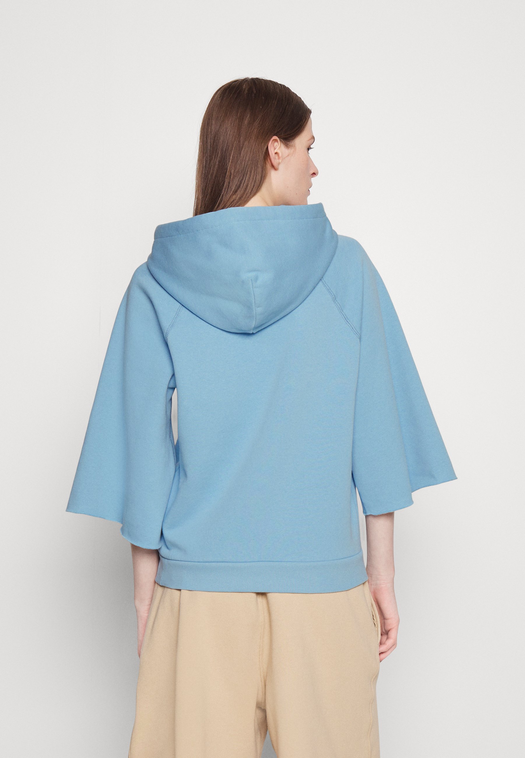 Polo Ralph Lauren Hoodie - powder blue/blue
