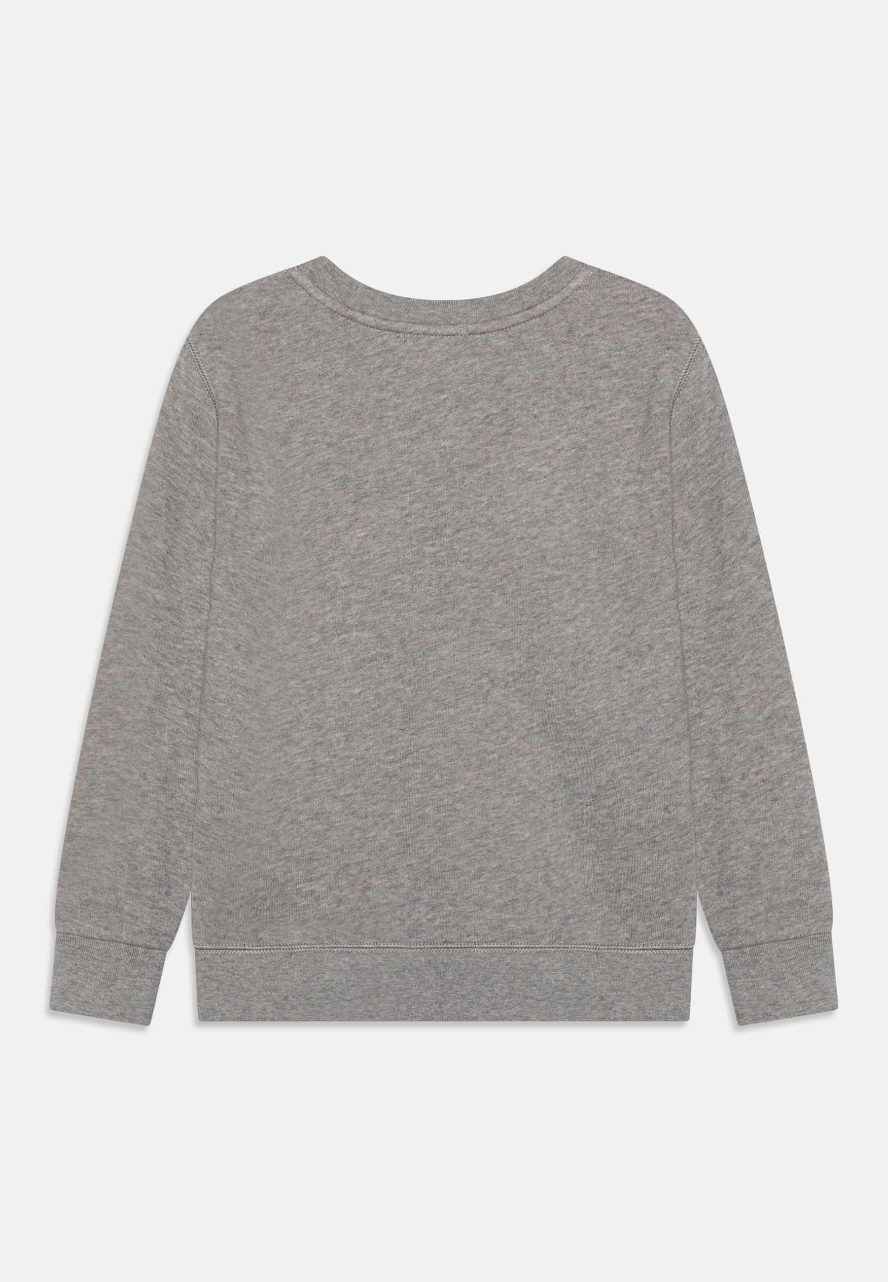 Polo Ralph Lauren Sweatshirt - andover  heather/dark blue
