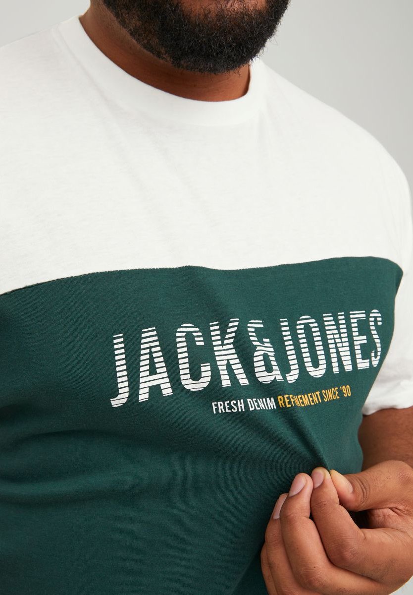 Jack &Jones JJEDAN BLOCKING O NECK - Print T-shirt - pine grove/green