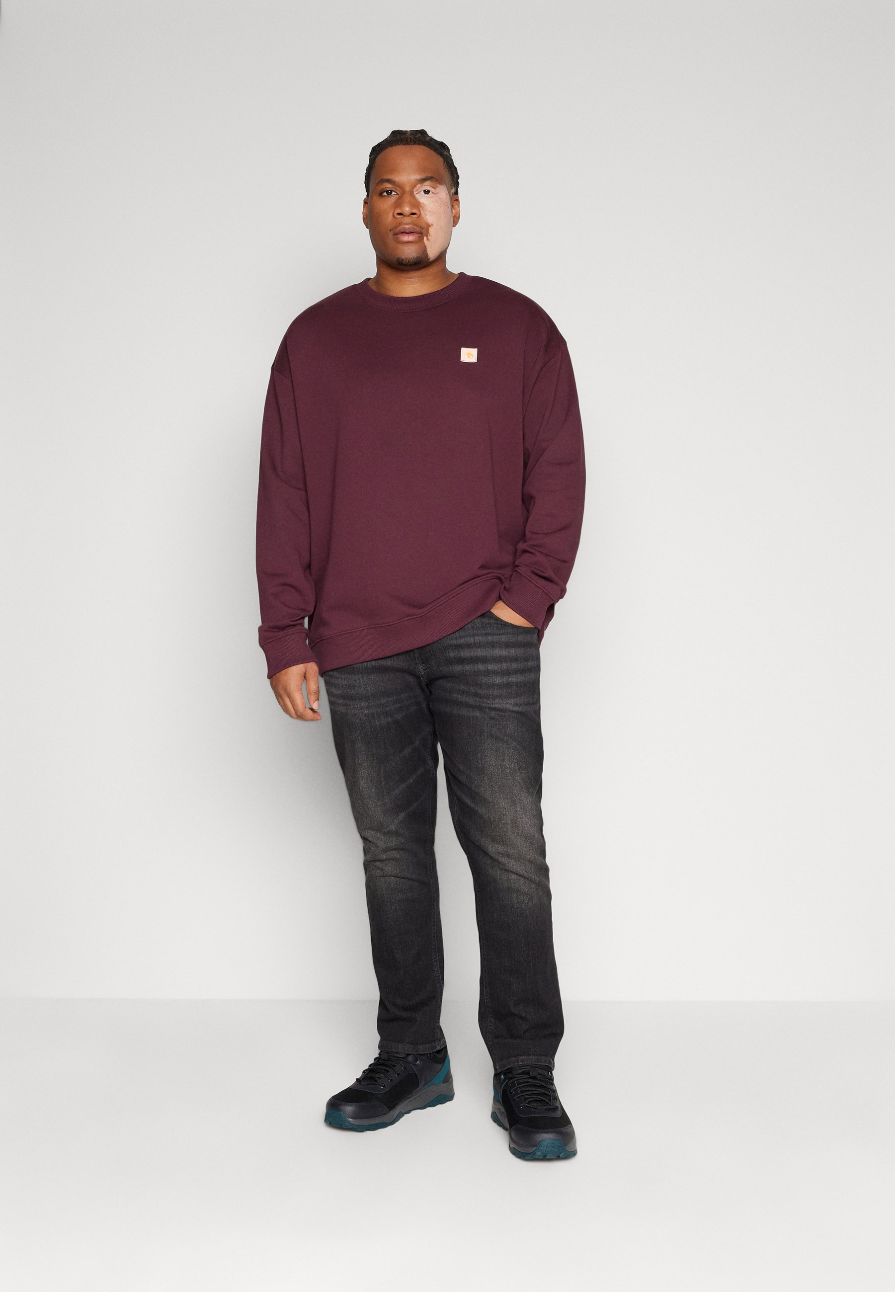 Scotch & Soda REGULAR FIT LOGO BADGE - Sweatshirt - berry wine/berry