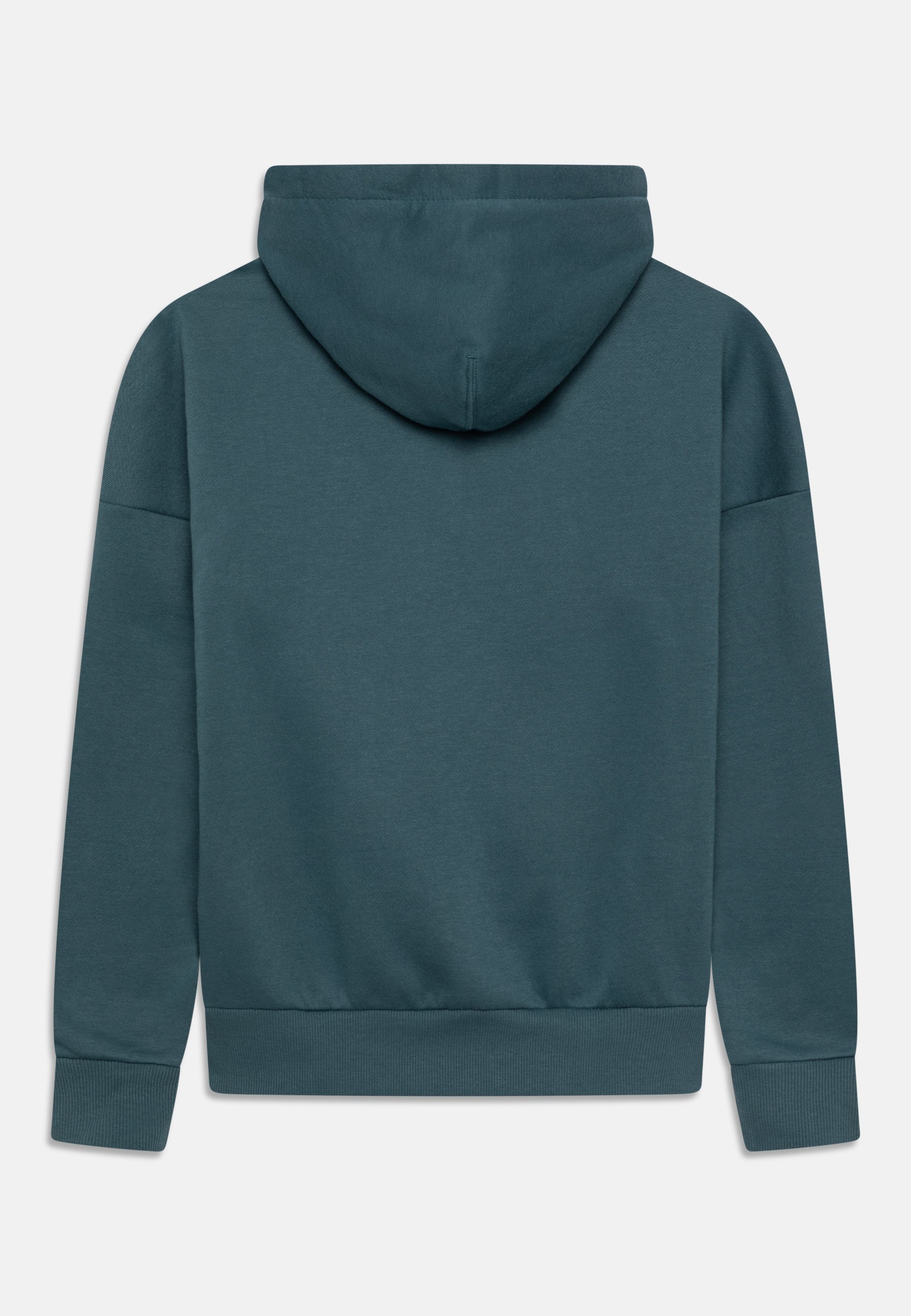 Converse HOODIE UNISEX - Sweatshirt - ash green/khaki