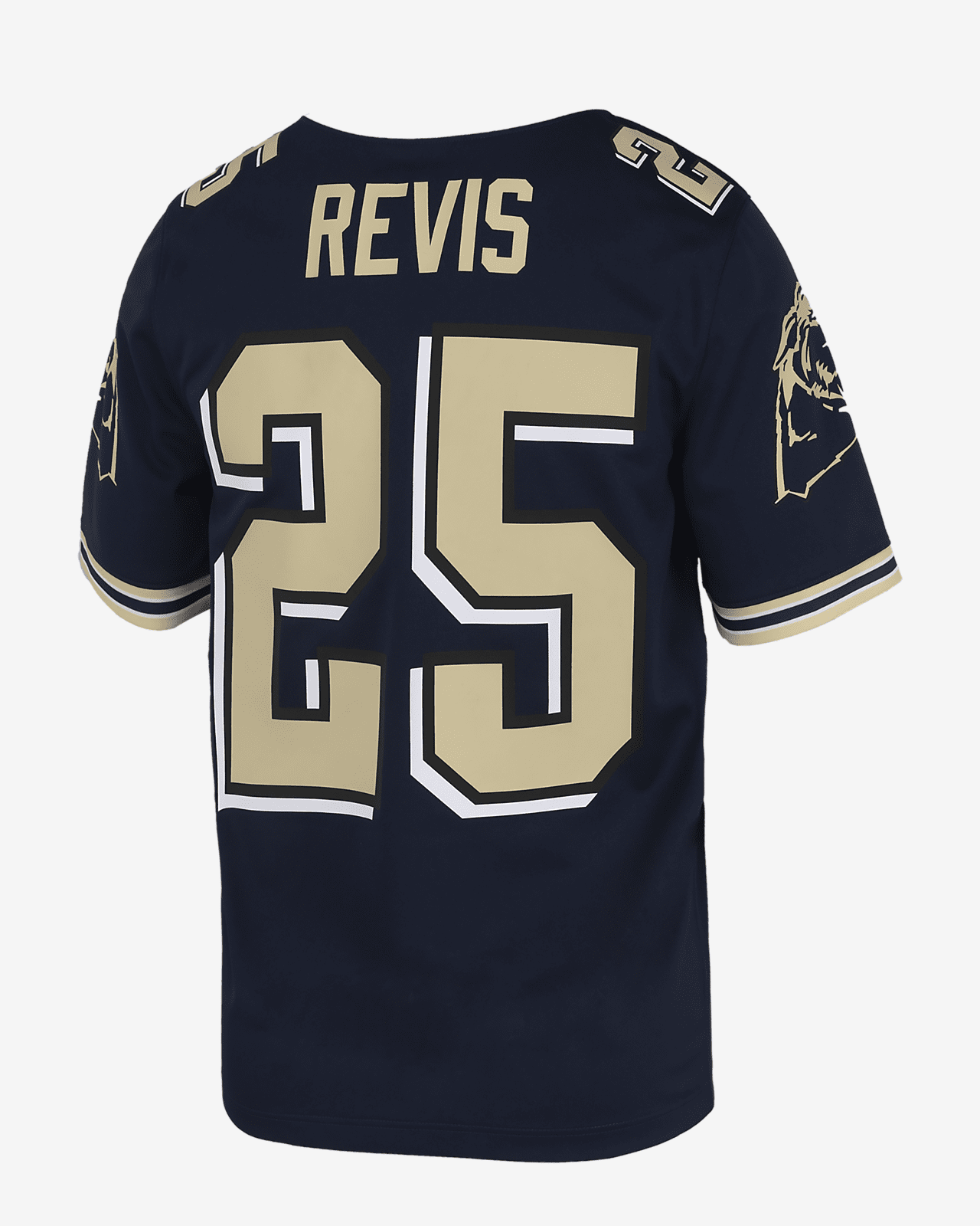 Darrelle Revis Pitt
