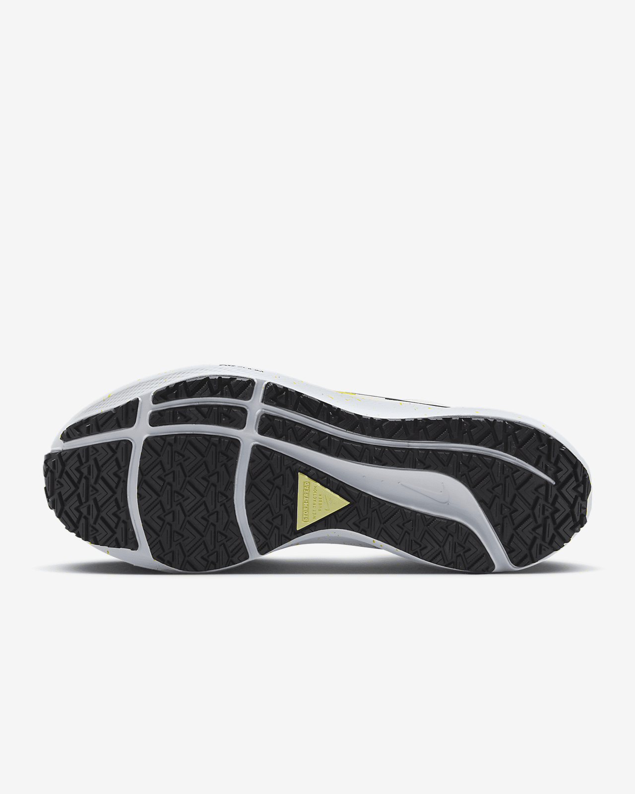 Nike Pegasus 39 Shield