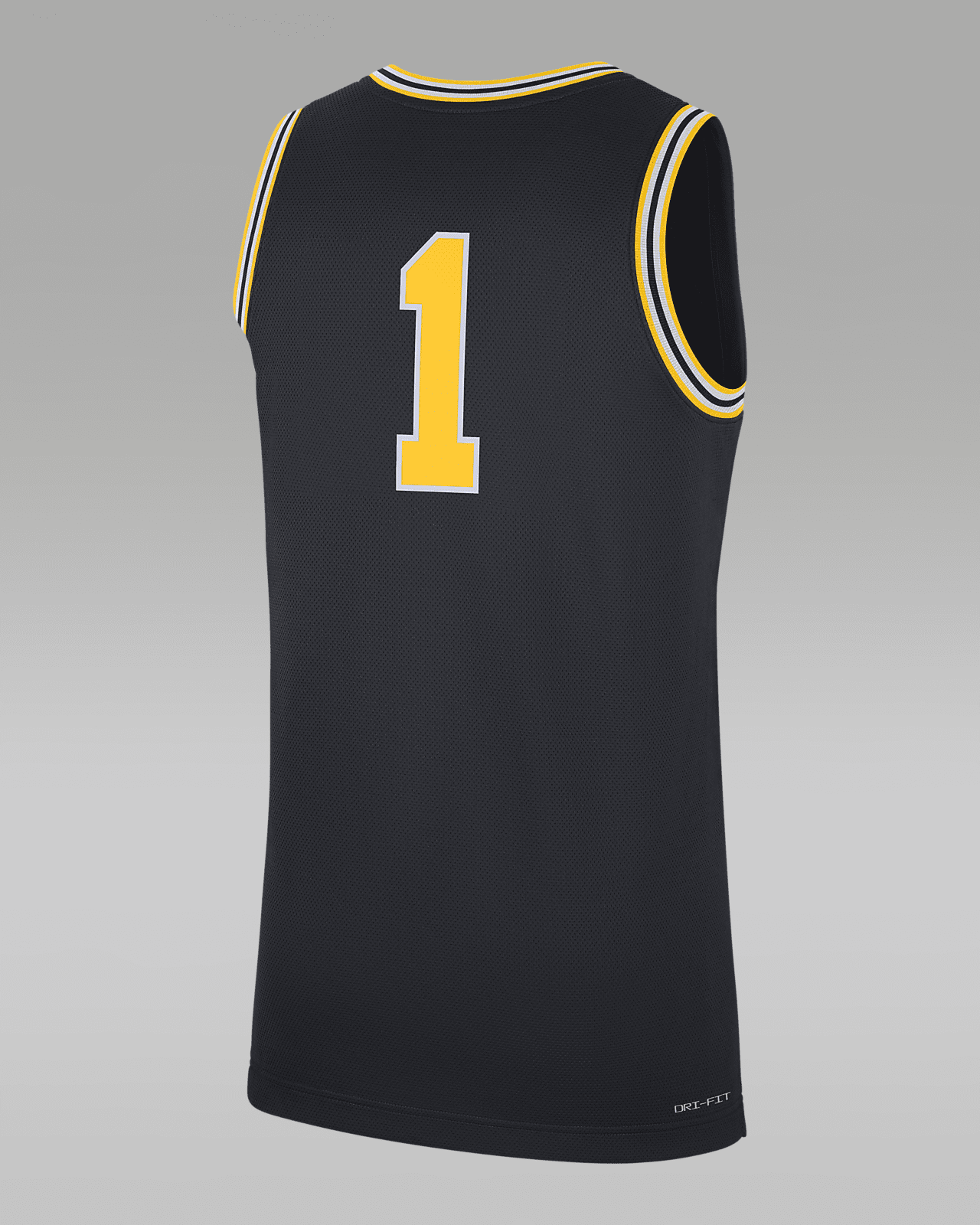 Jordan College Dri-FIT (Michigan)
