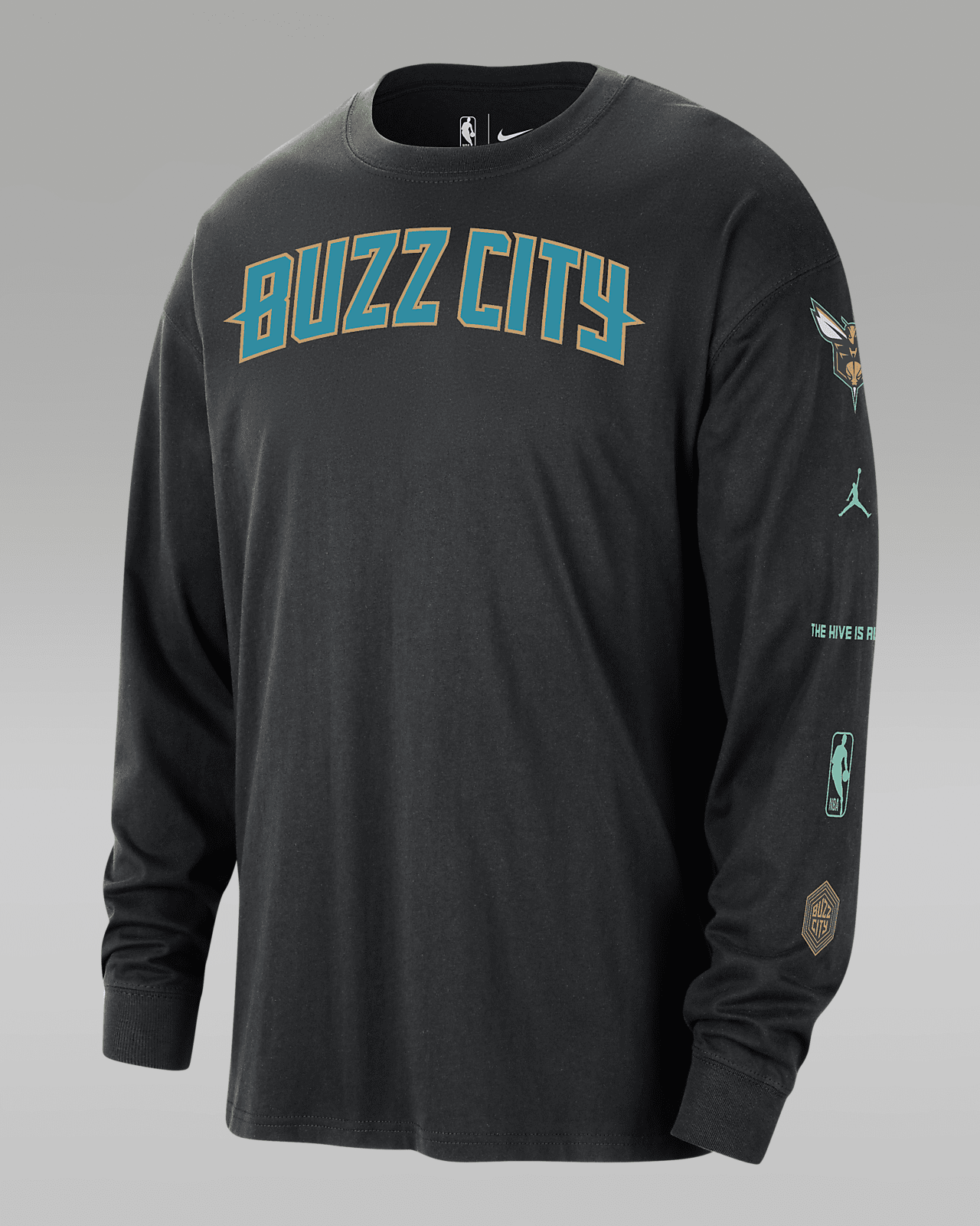 Charlotte Hornets 2023/24 City Edition