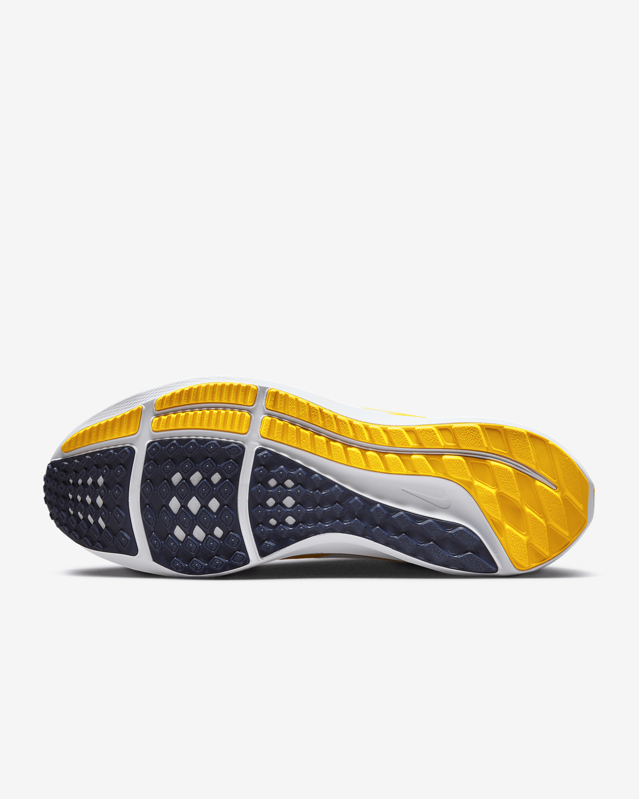 Nike Pegasus 40 (Michigan)