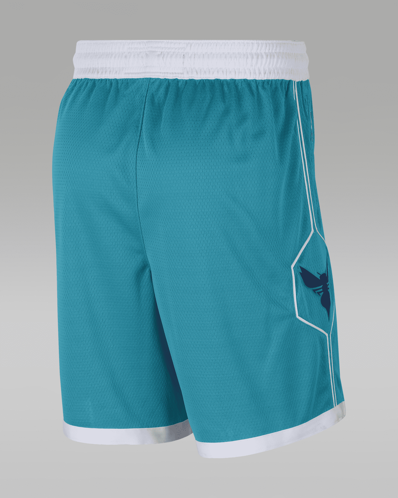 Hornets Icon Edition 2020