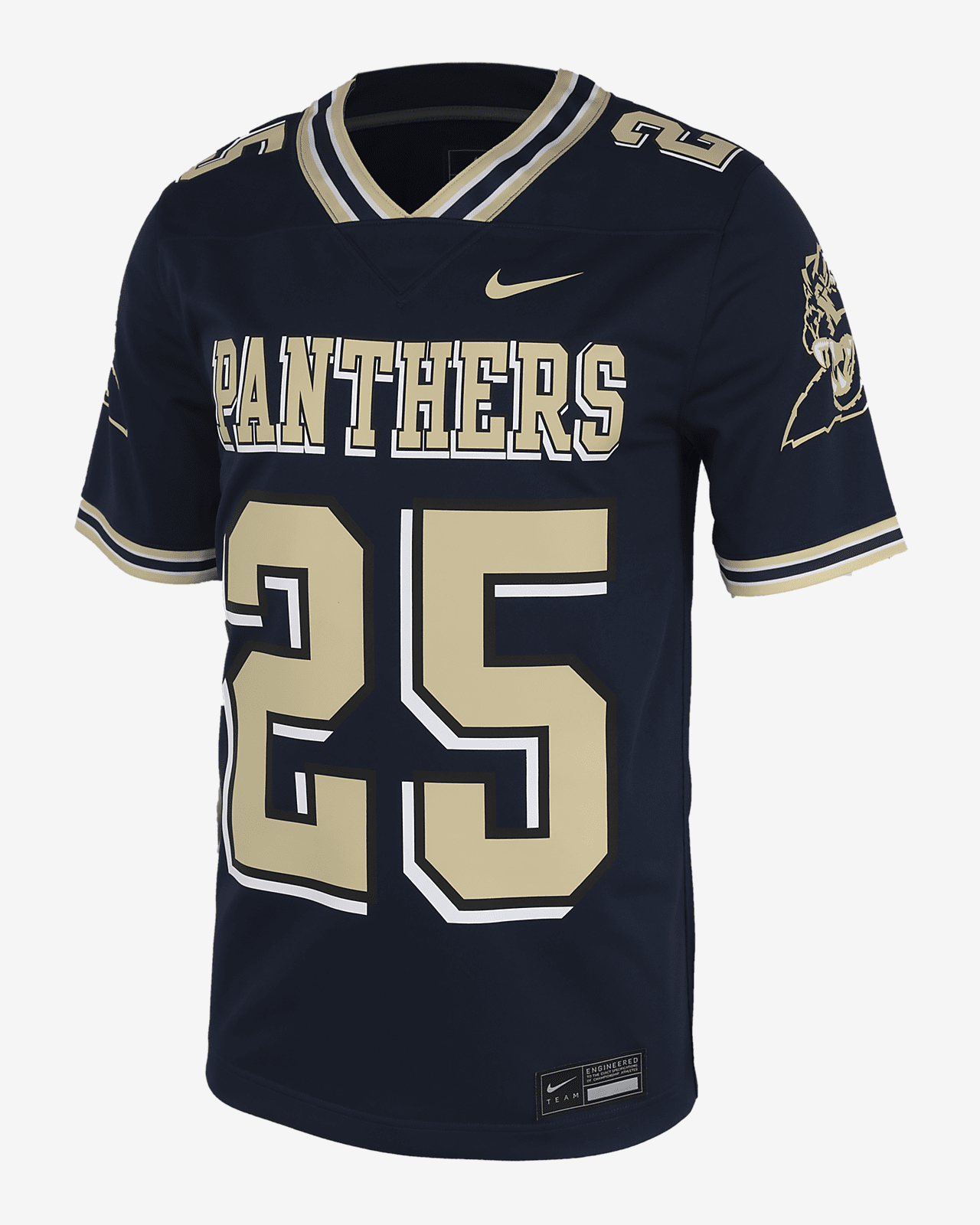 Darrelle Revis Pitt
