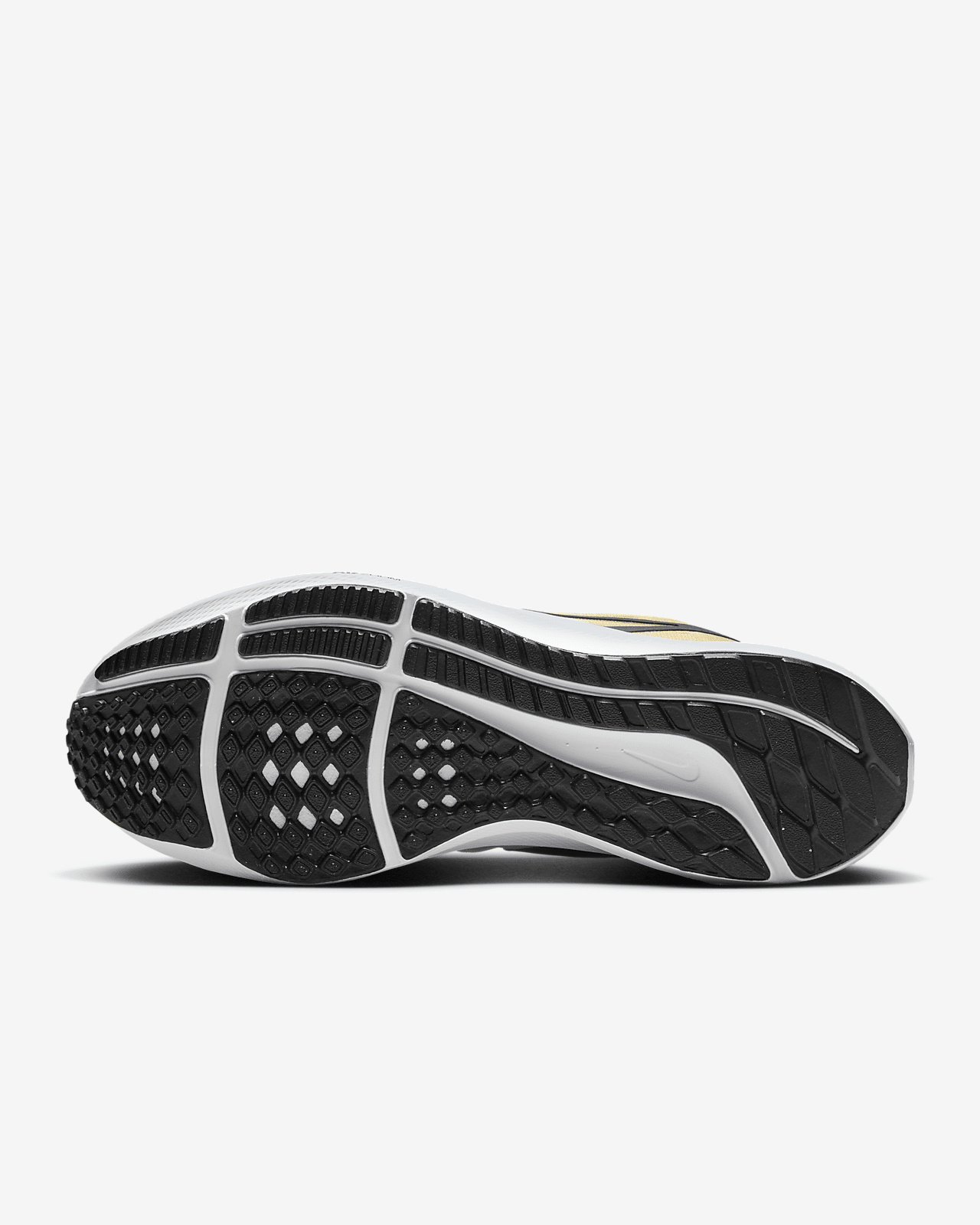 Nike Pegasus 39