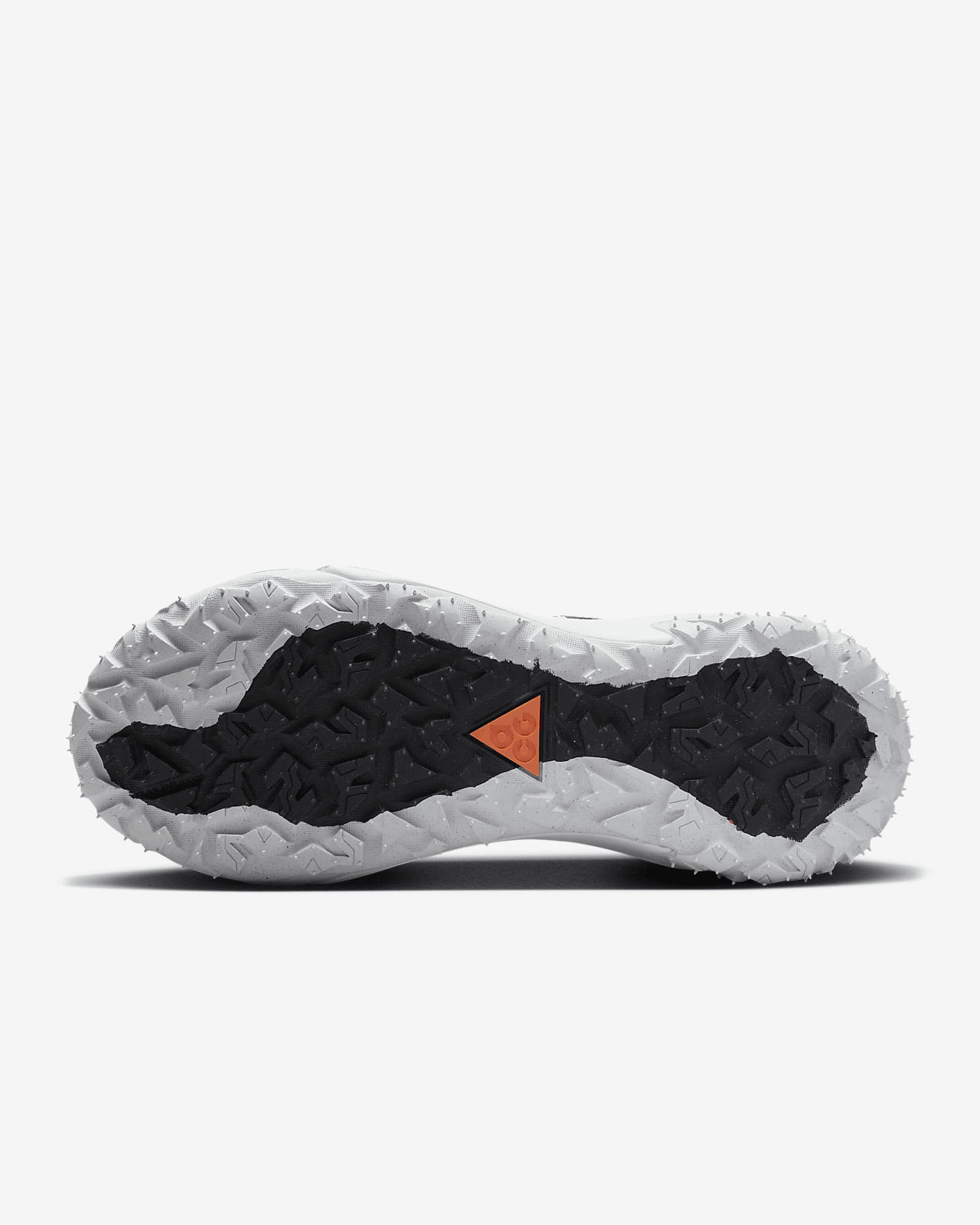 Nike ACG Mountain Fly 2 Low