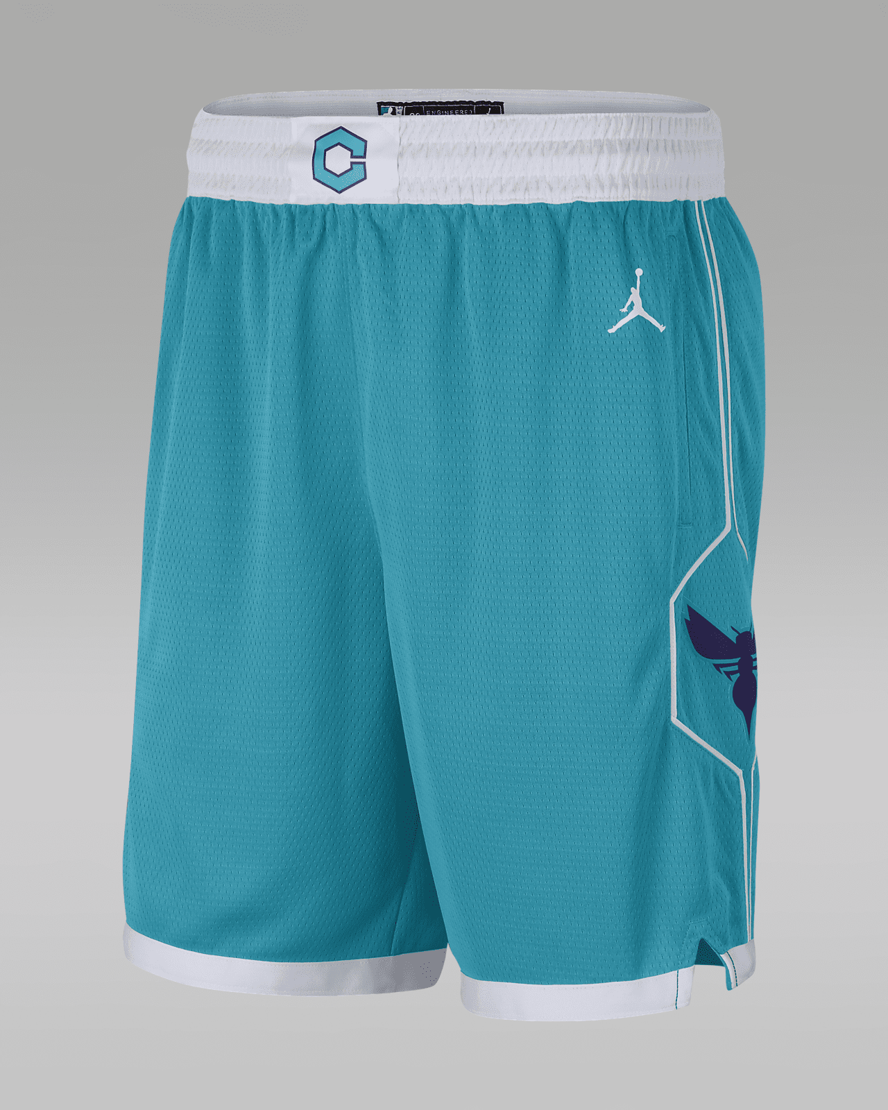 Hornets Icon Edition 2020
