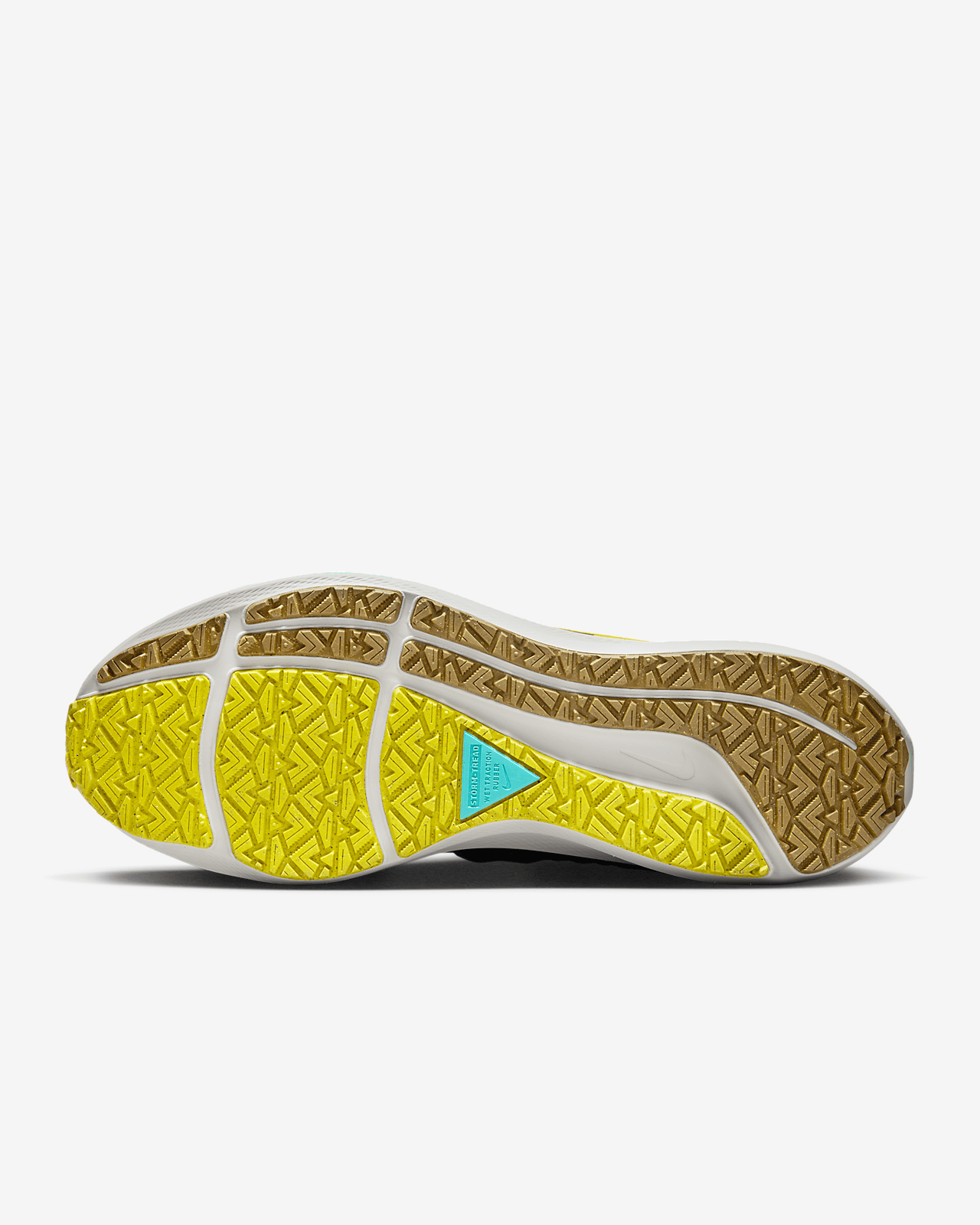 Nike Pegasus 39 Shield