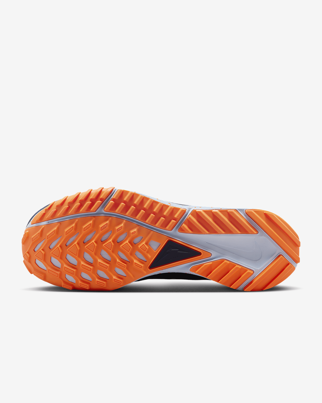 Nike Pegasus Trail 4 GORE-TEX