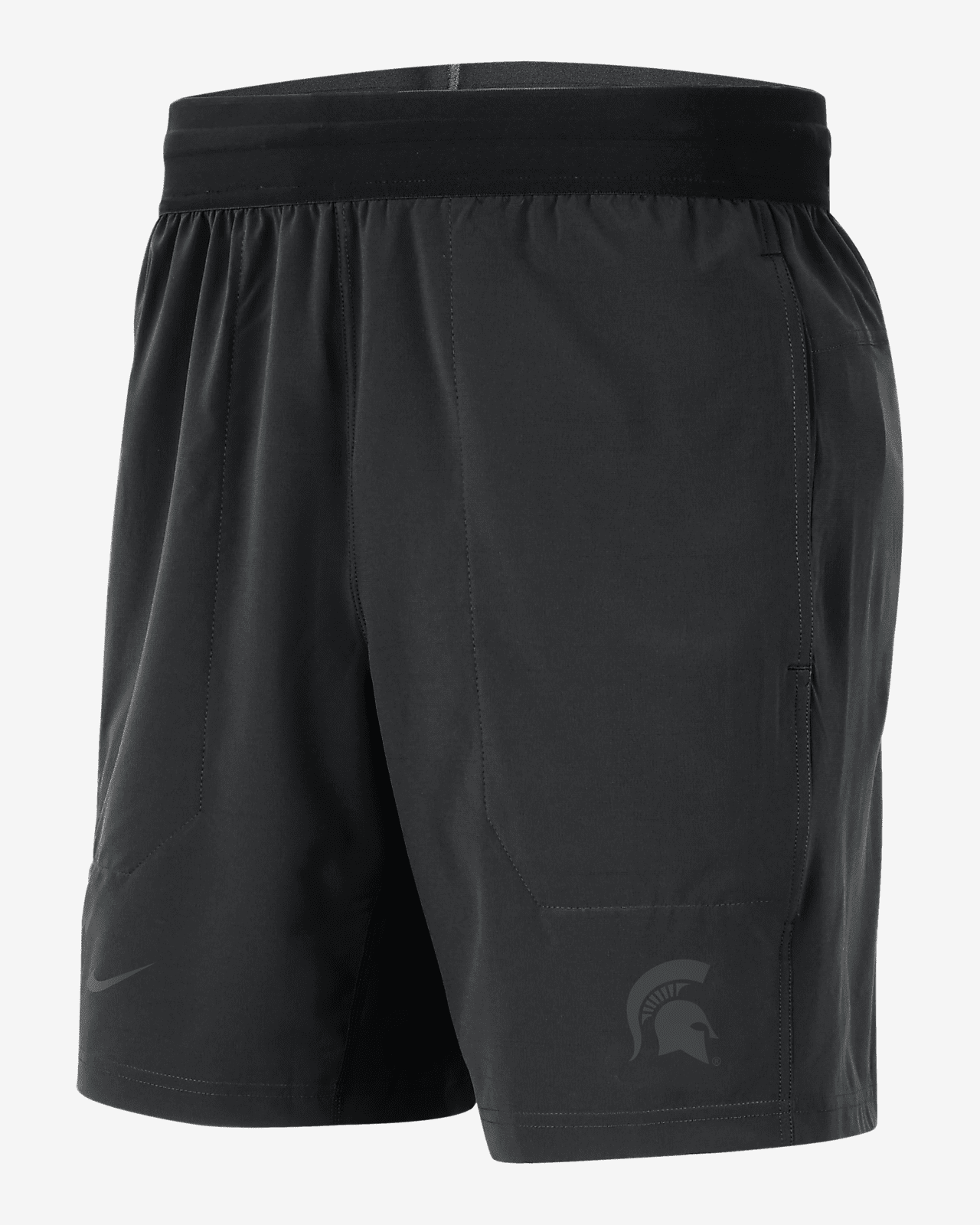 Michigan State