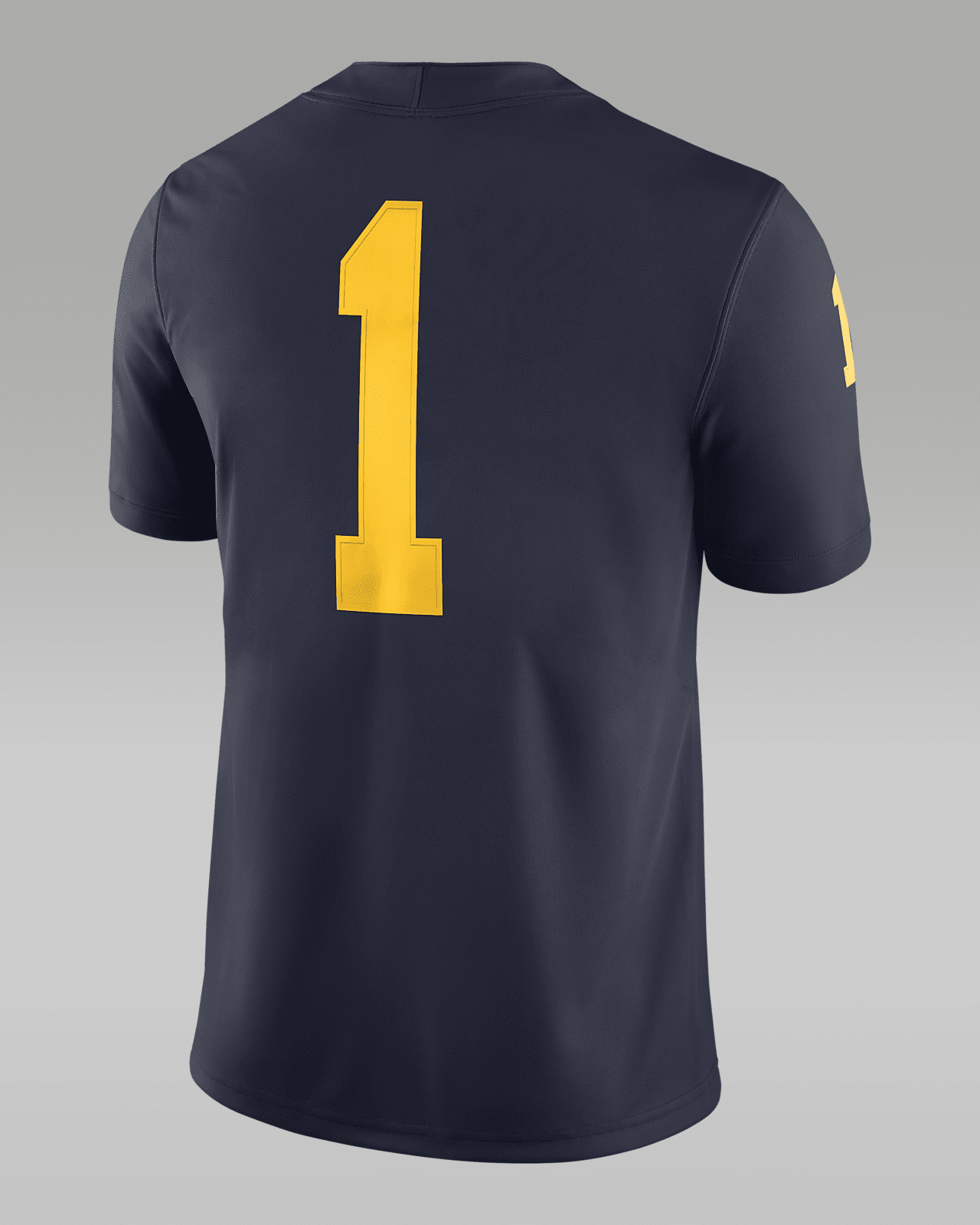Jordan College Dri-FIT Game (Michigan)