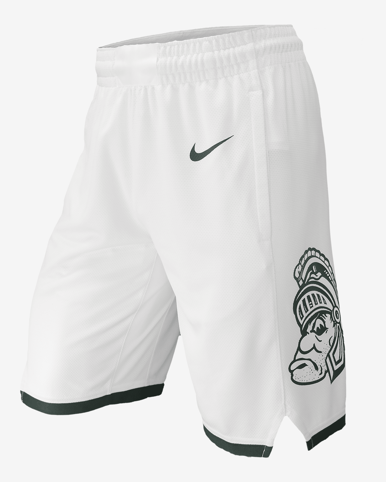 Michigan State