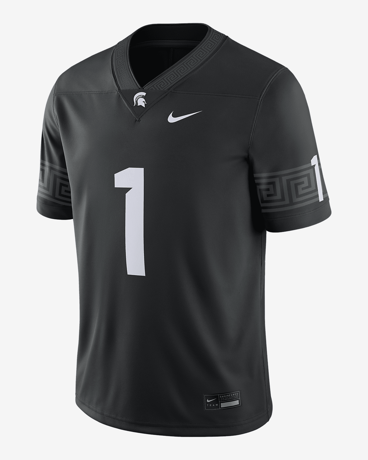 Michigan State 2023/24 Alternate
