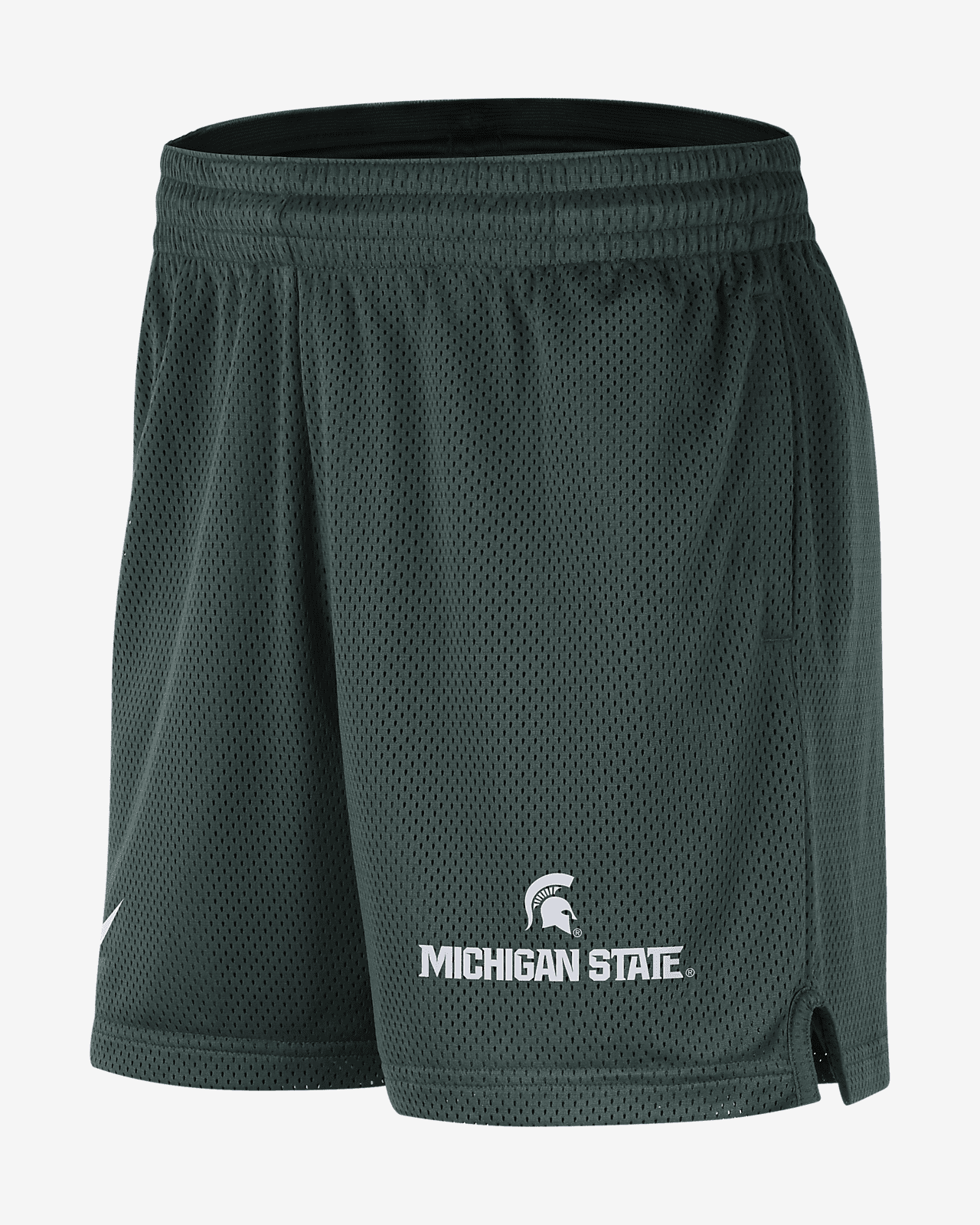 Michigan State