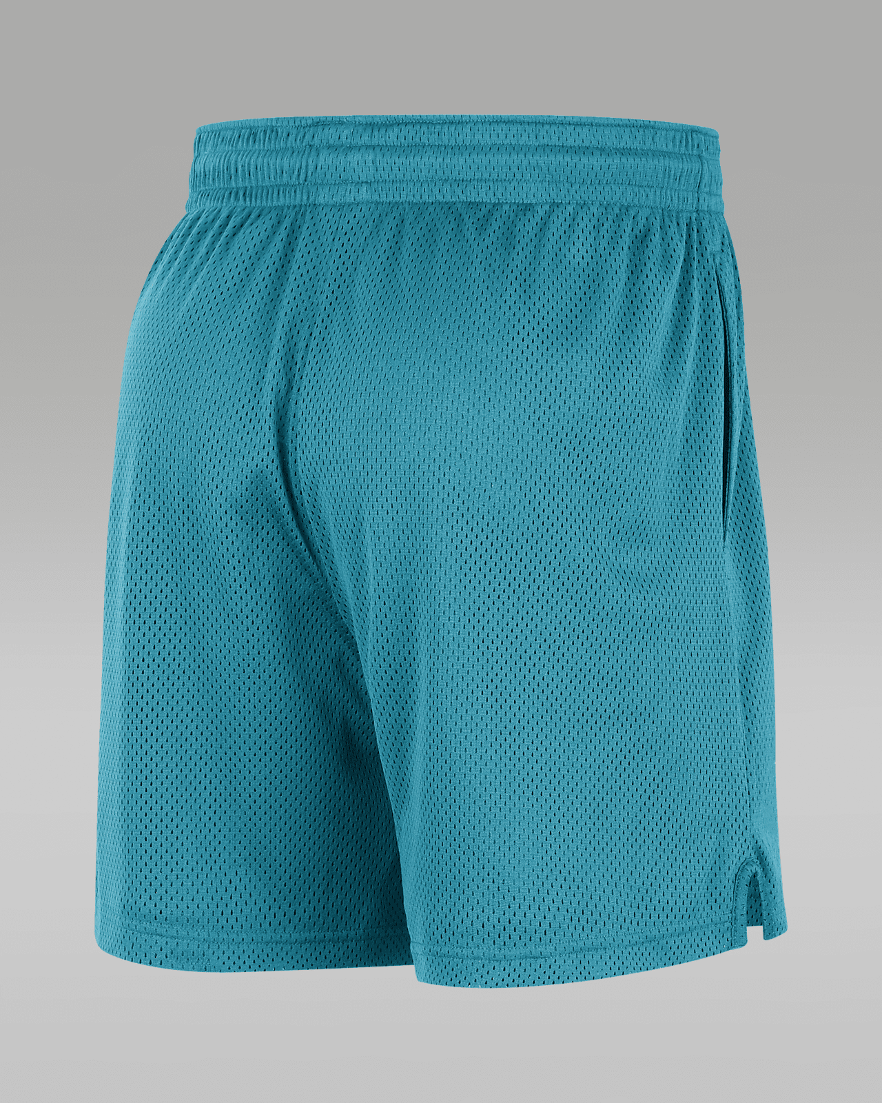 Charlotte Hornets