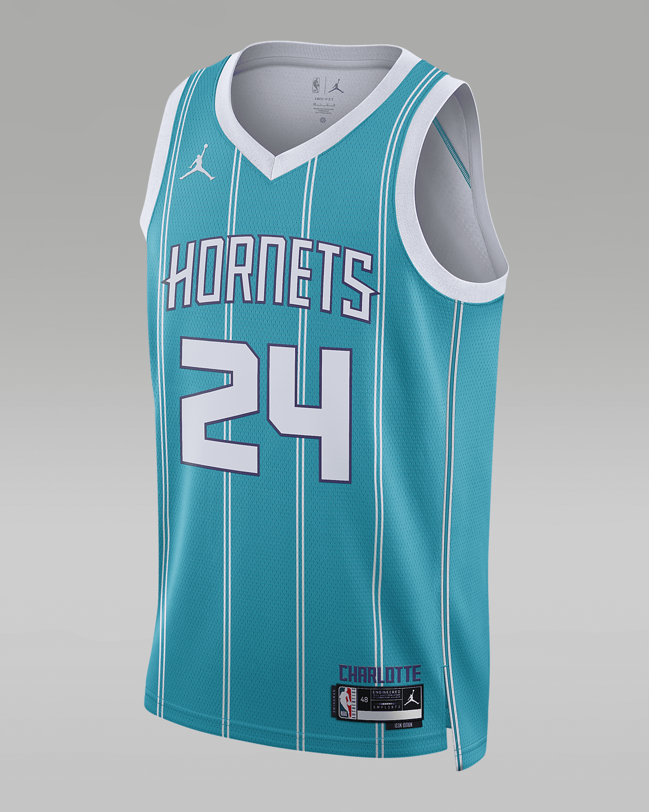 Charlotte Hornets Icon Edition 2022/23