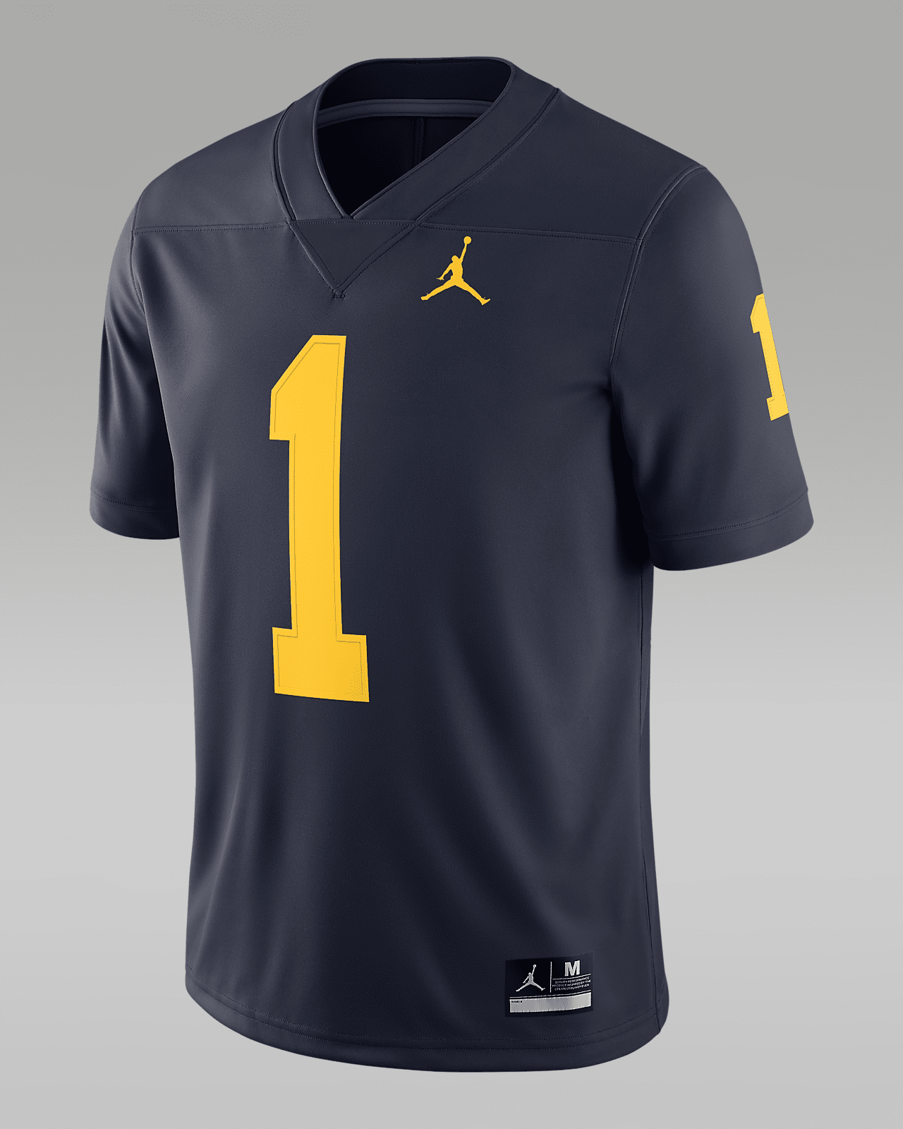 Jordan College Dri-FIT Game (Michigan)