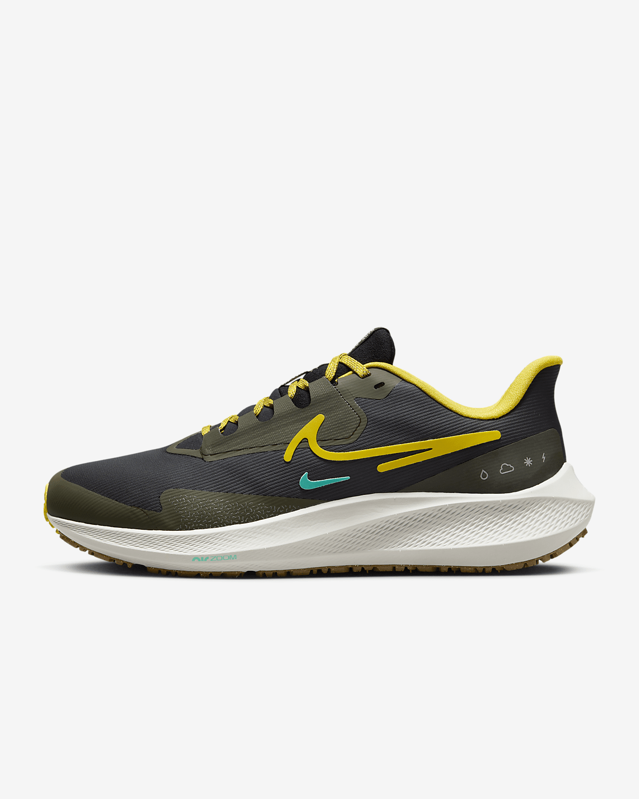 Nike Pegasus 39 Shield