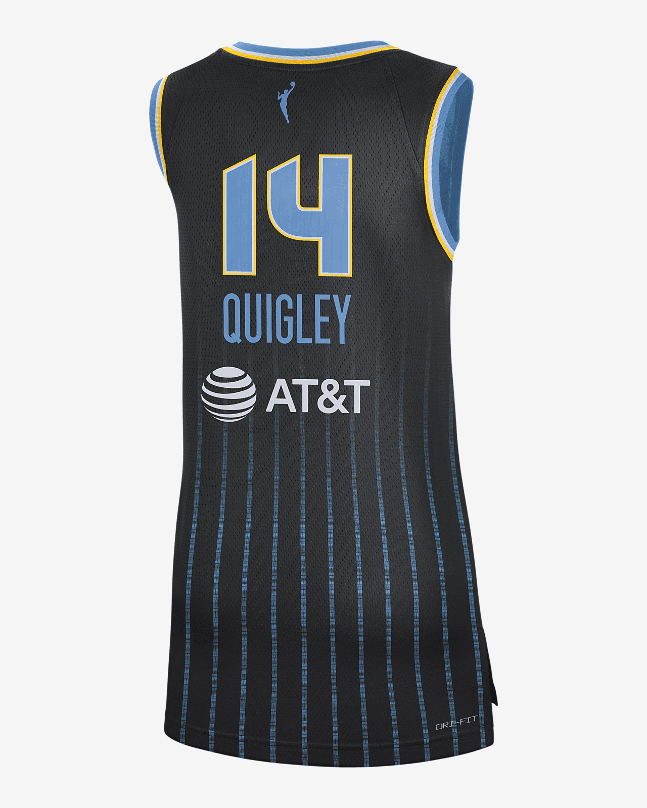 Chicago Sky Explorer Edition