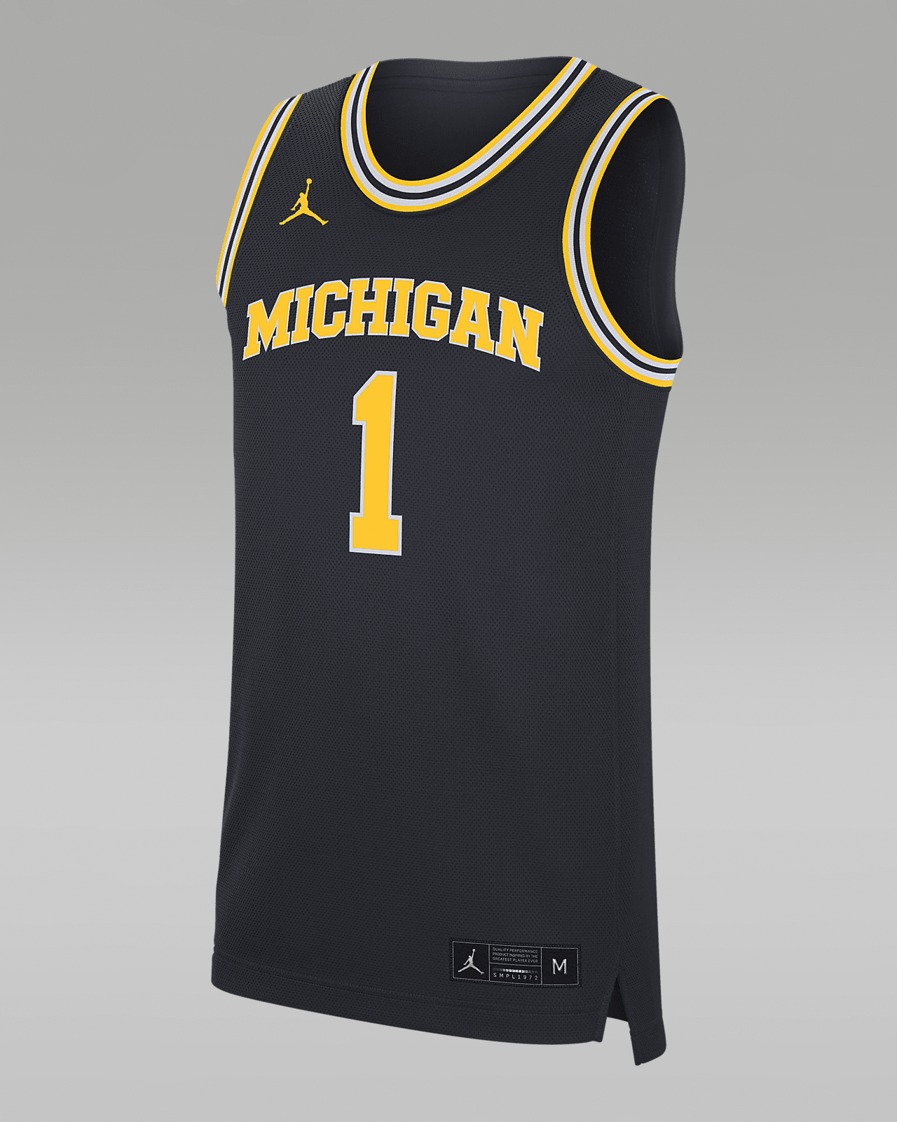 Jordan College Dri-FIT (Michigan)