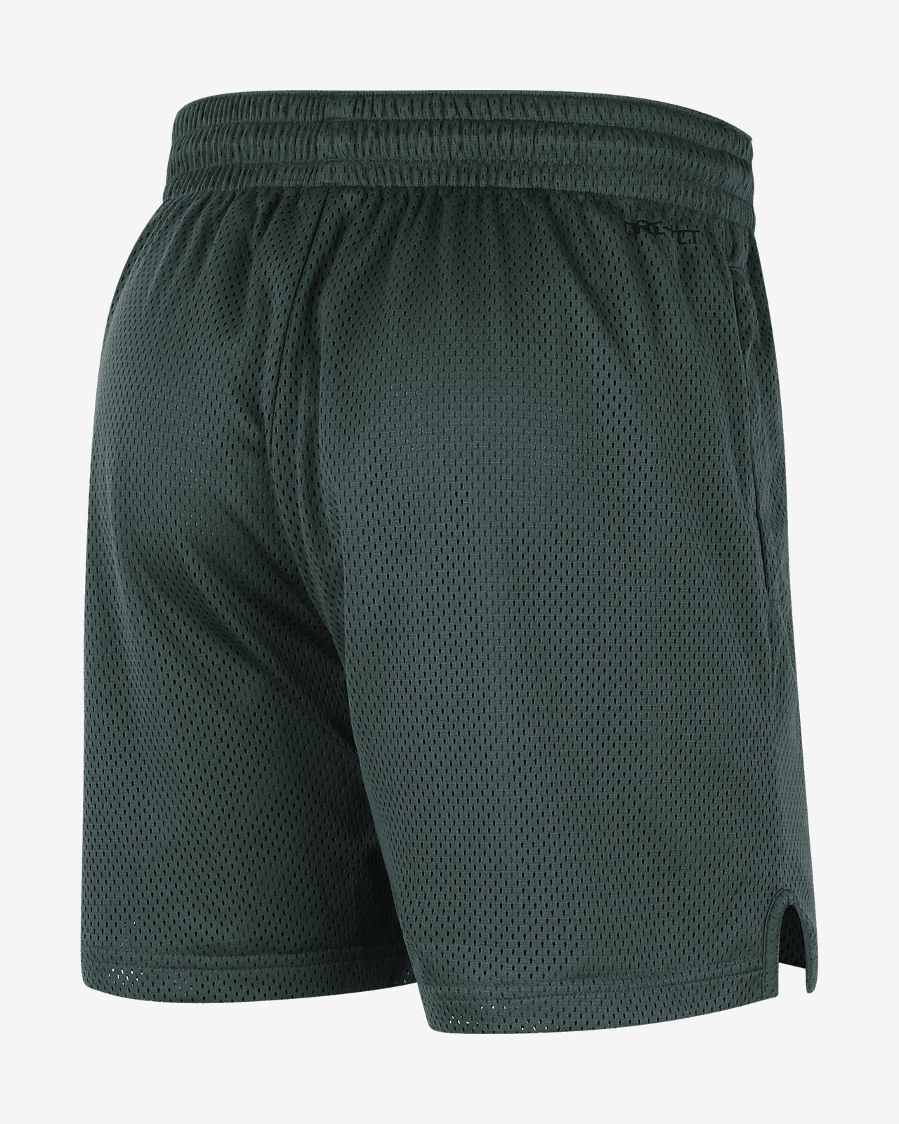 Michigan State
