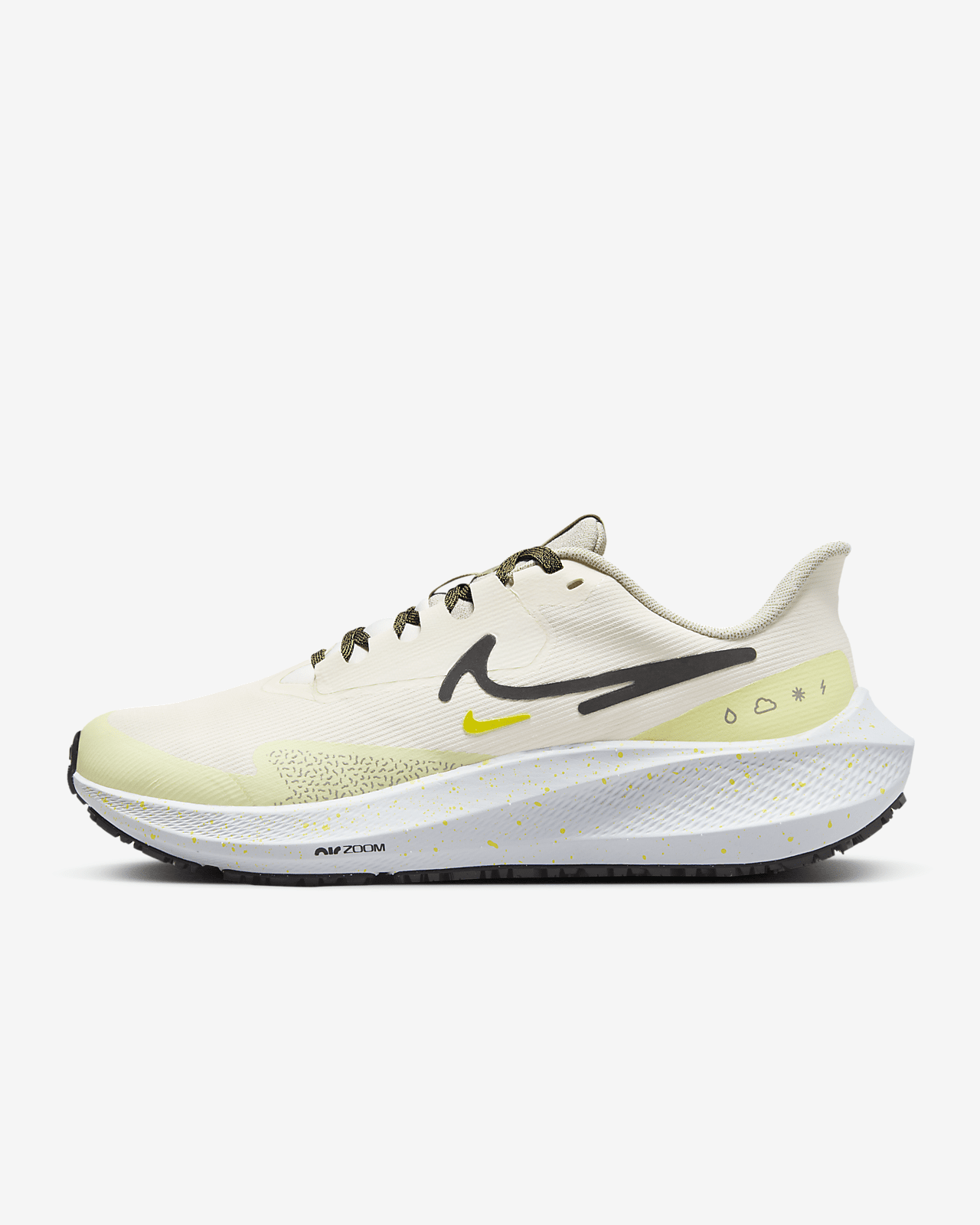 Nike Pegasus 39 Shield