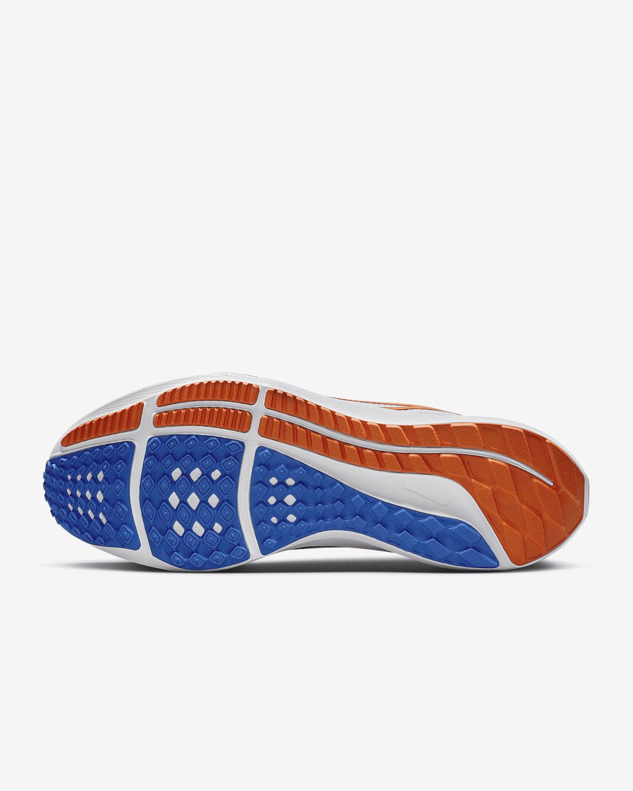 Nike Pegasus 40 (Florida)