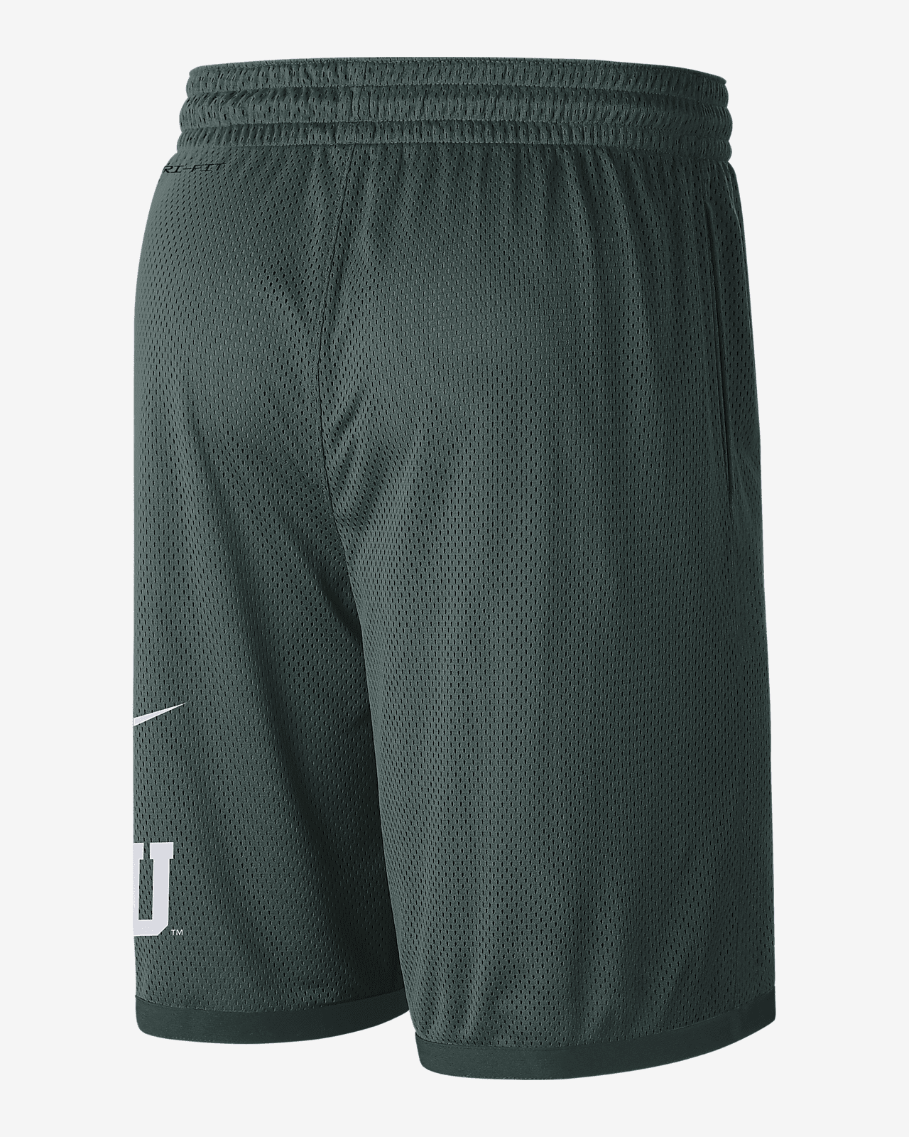 Michigan State