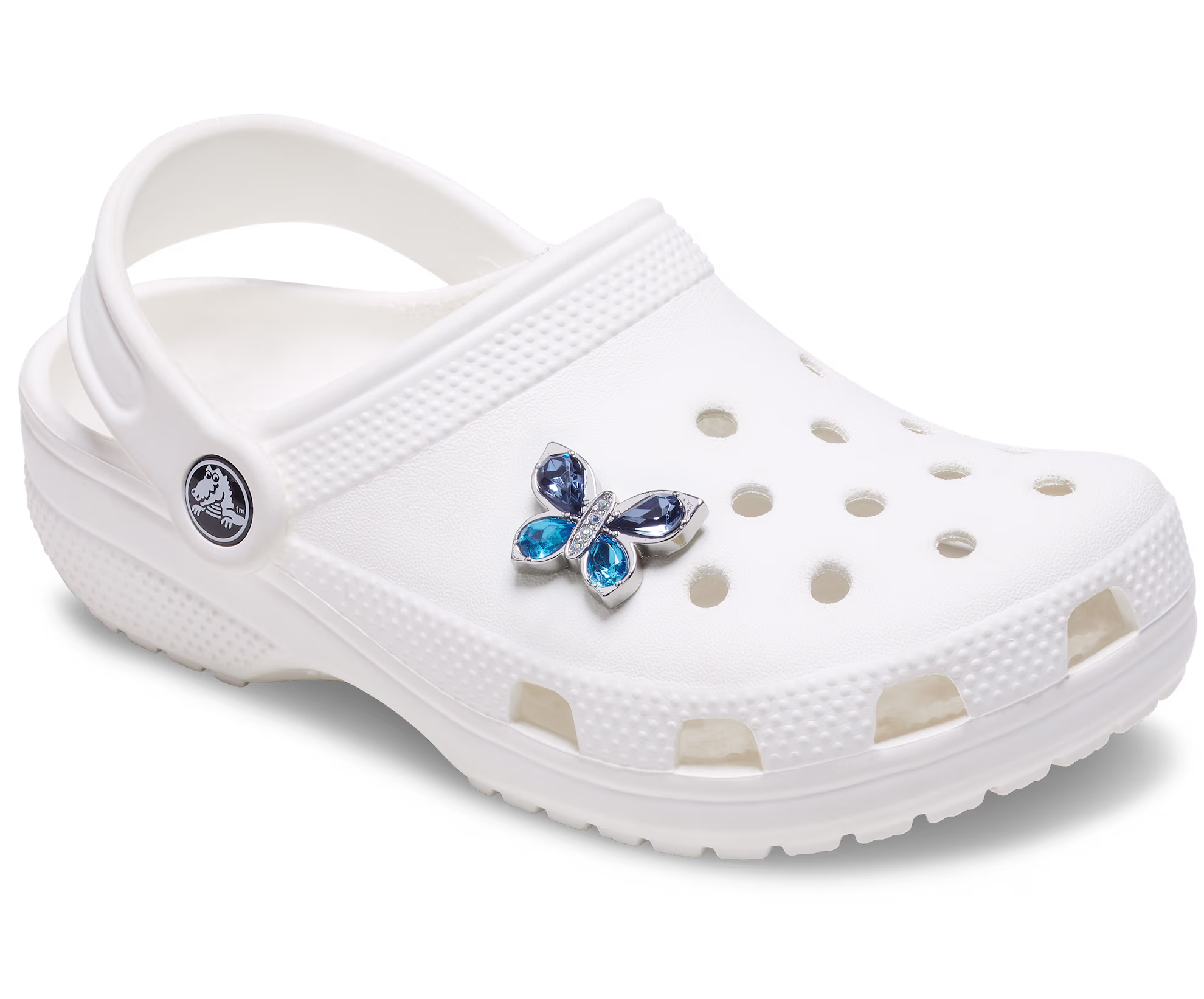 Blue Gem Butterfly
