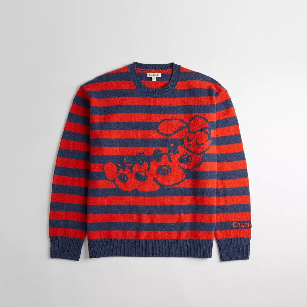 Striped Crewneck Sweater With Intarsia Caterpillar Graphic