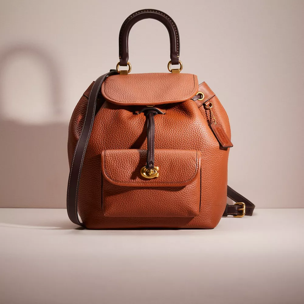 Restored Riya Backpack In Colorblock