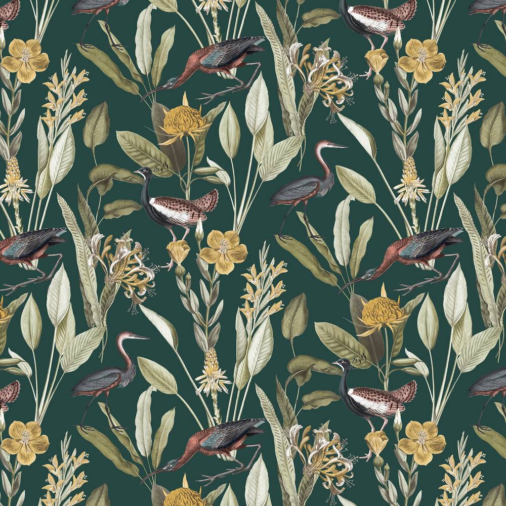 Graham u0026 Brown Glasshouse Green Wallpaper