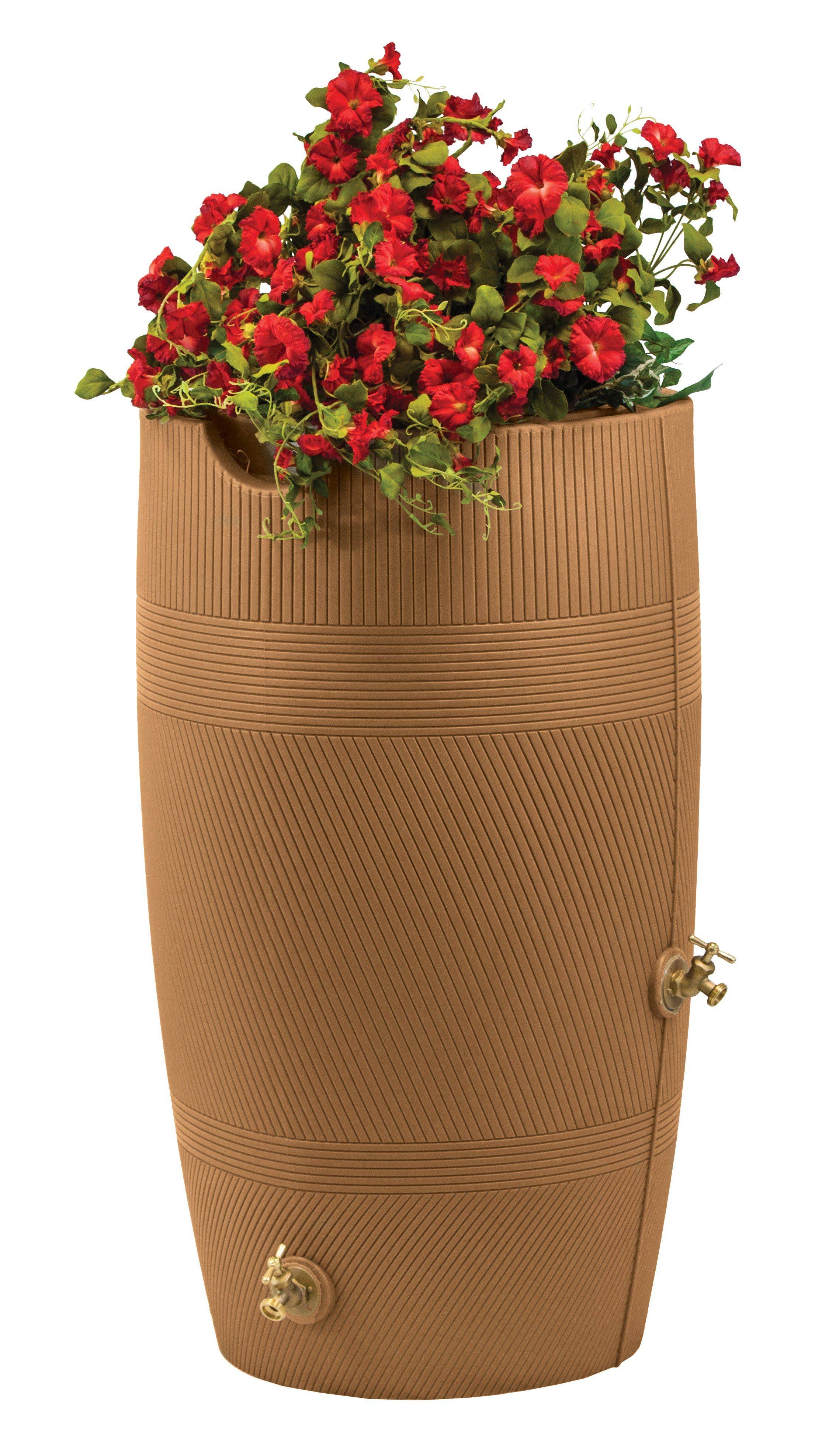 Good Ideas | Impressions Havana 50 Gallon Rain Saver Terra Cotta