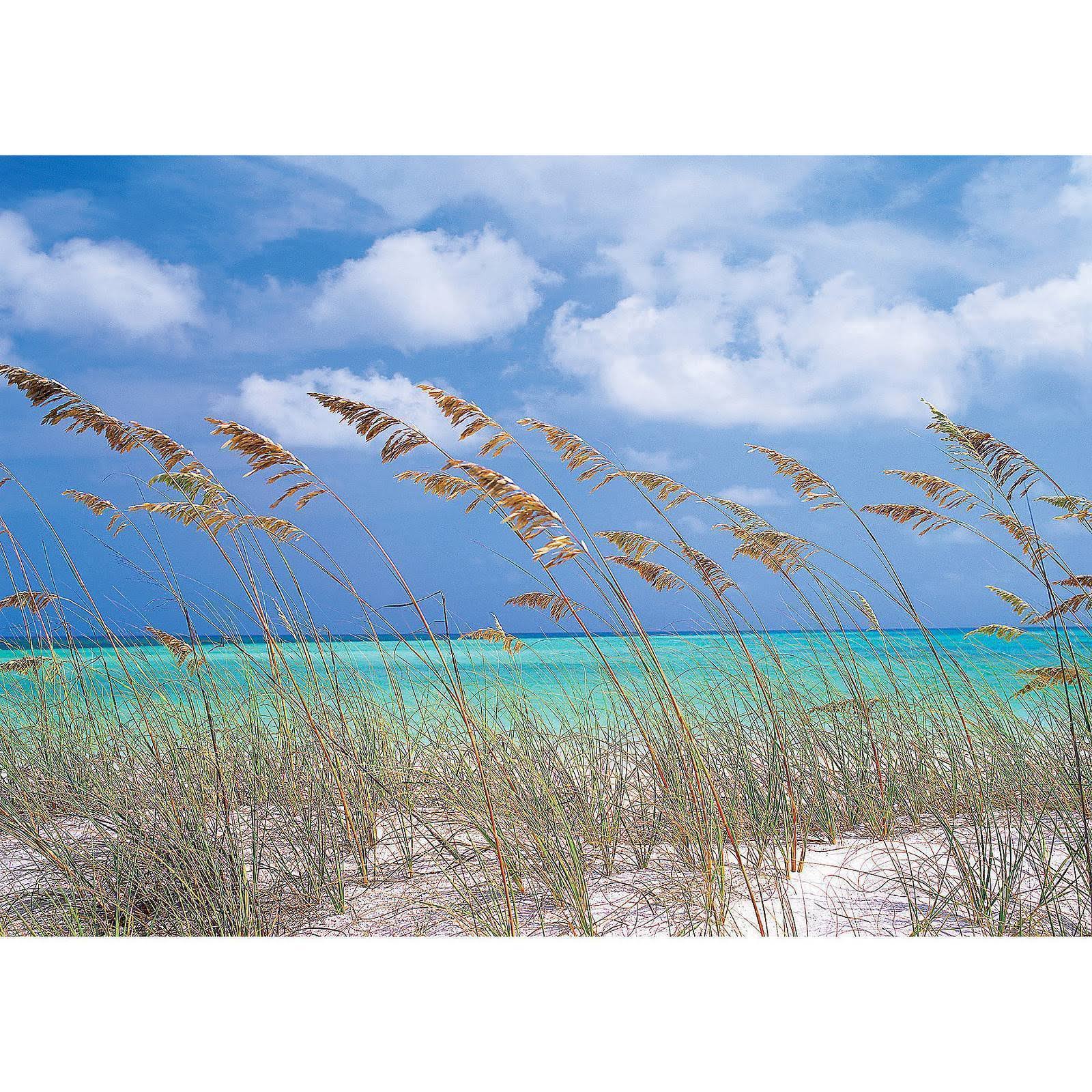 Brewster 8-515 Ocean Breeze Wall Mural