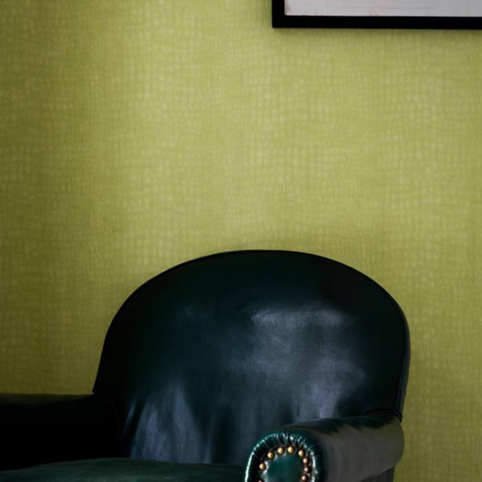 Graham u0026 Brown 32-663 Crocodile Wallpaper, Green