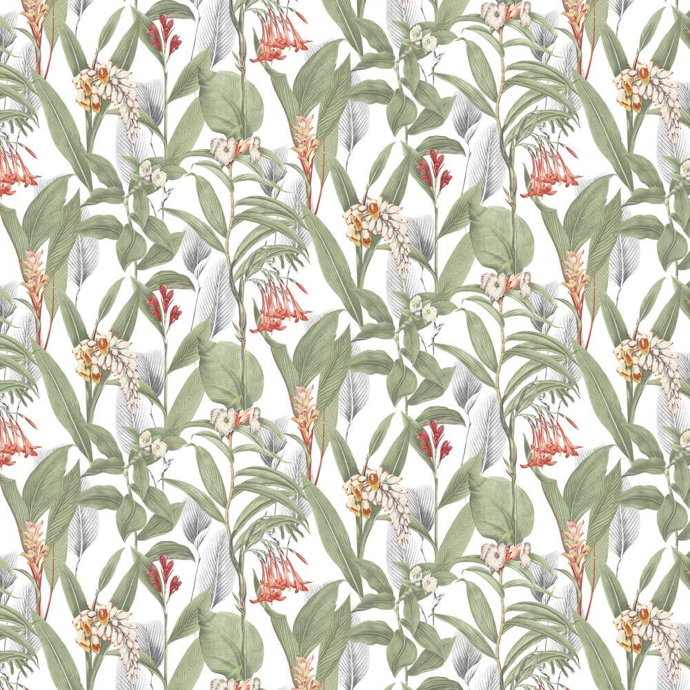 Graham u0026 Brown Botanical Powder Wallpaper
