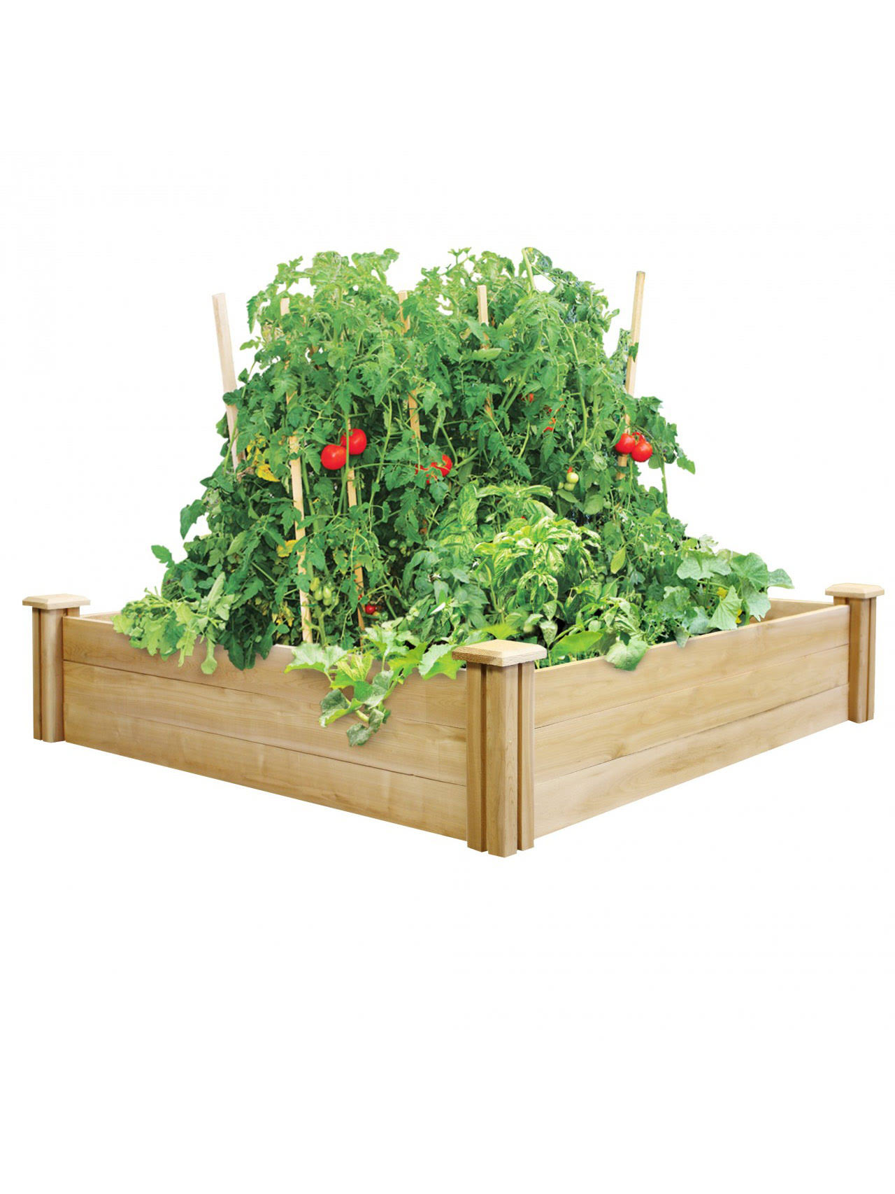 Greenes 4 ft. x 8 ft. x 10.5 in. Cedar Raised Garden Bed