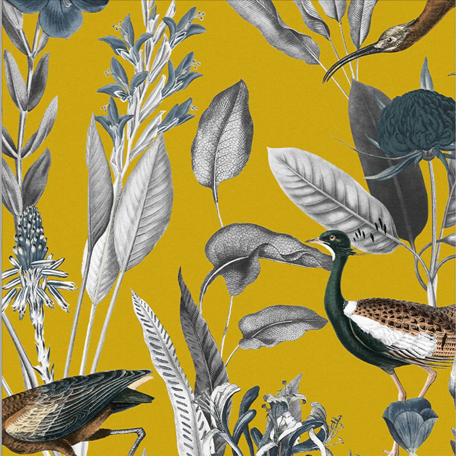 Graham u0026 Brown Glasshouse Mustard Wallpaper