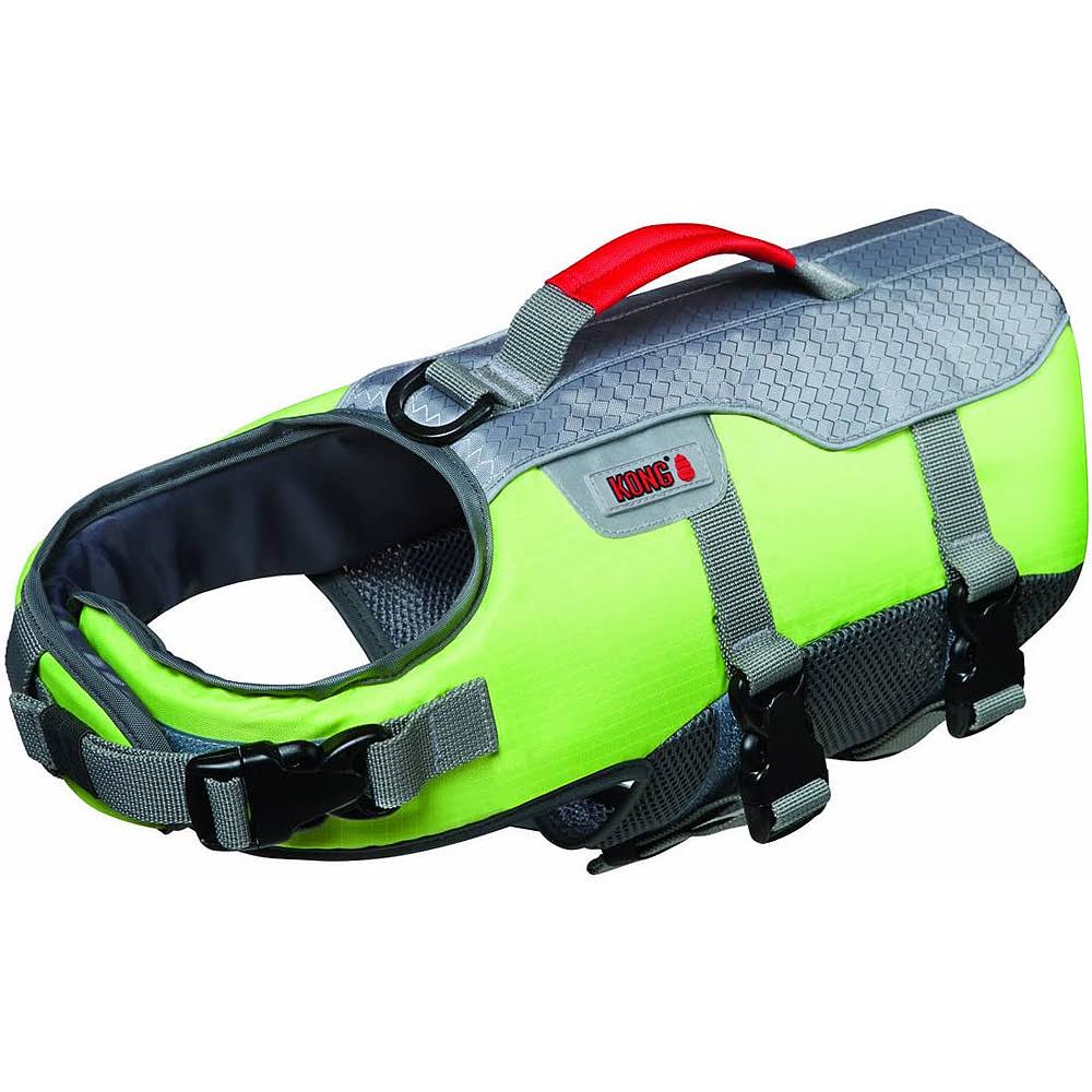 AquaFloat Dog Life Vest Large Green/Silver