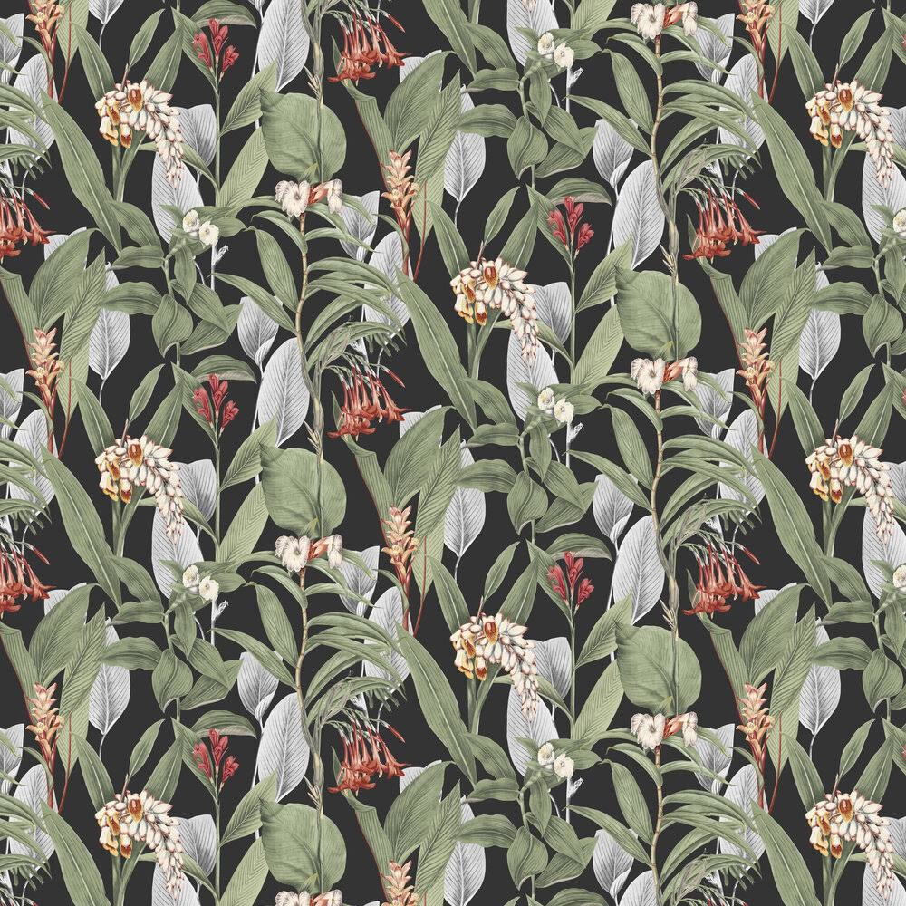 Graham u0026 Brown Botanical Black Wallpaper