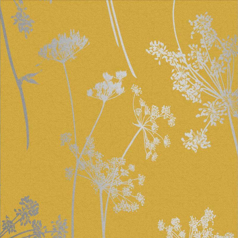 Graham u0026 Brown Anthriscus Summer Wallpaper