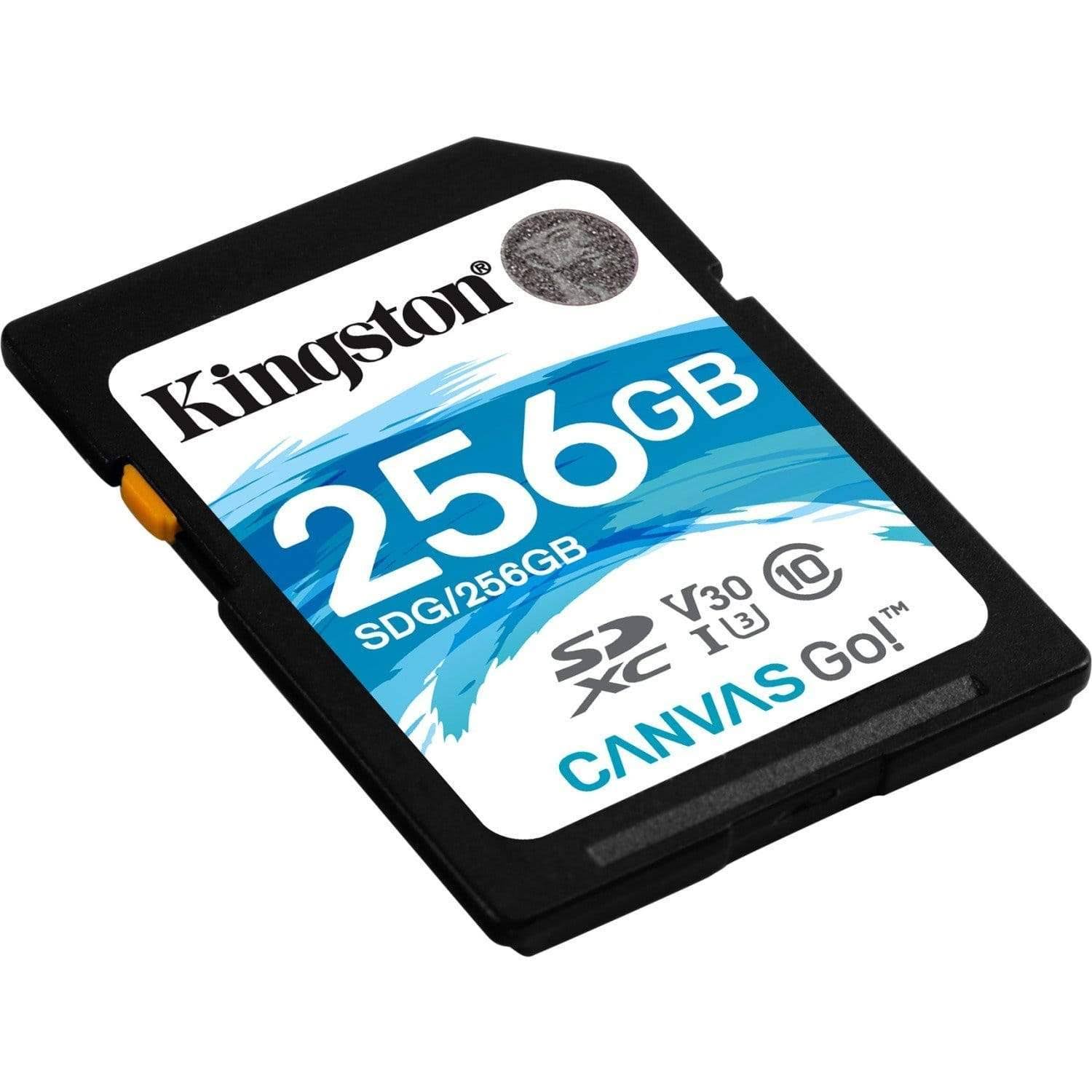 Kingston Canvas Go! 256 GB SDXC